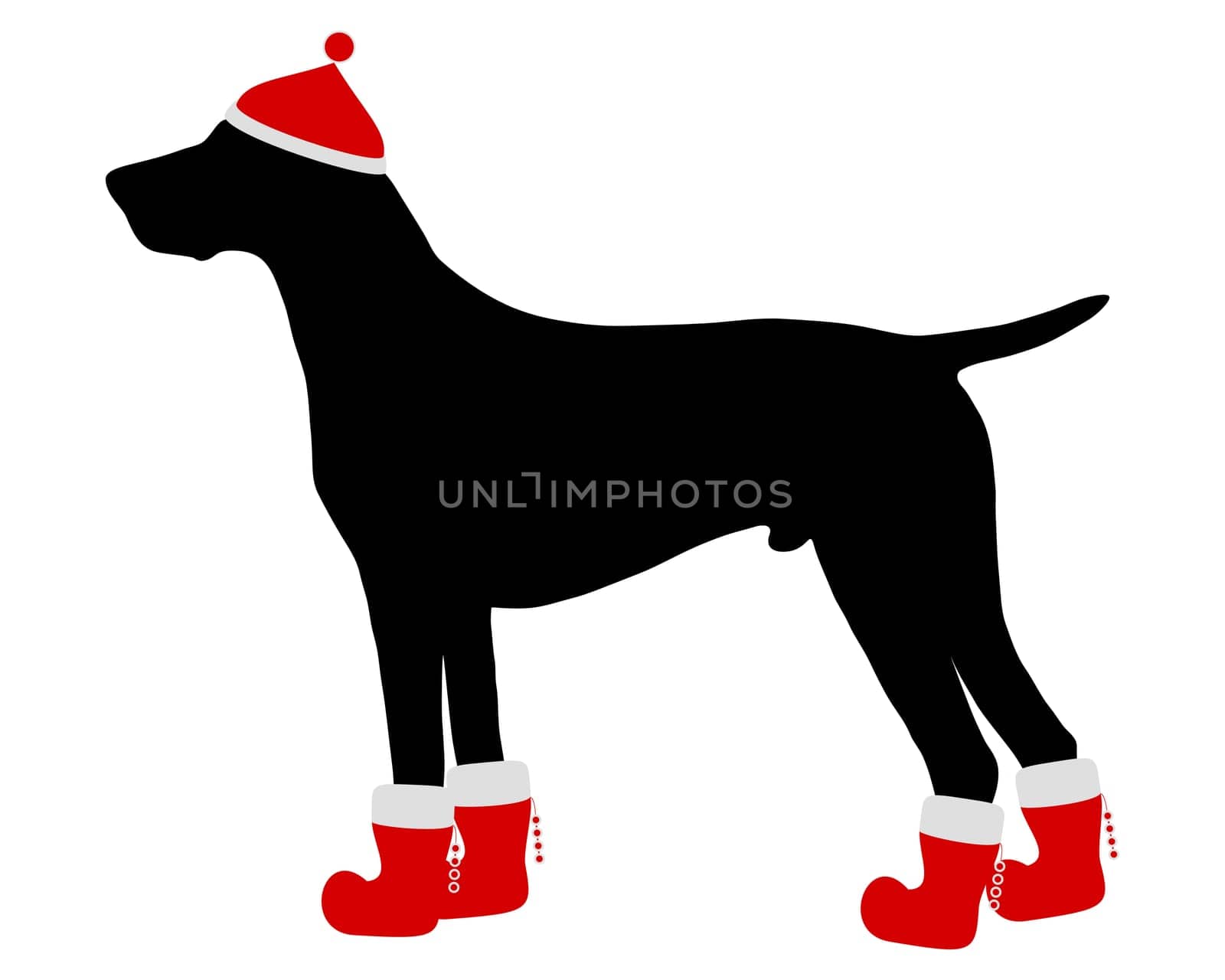German Shorthair with red Santa hat and red Christmas boots