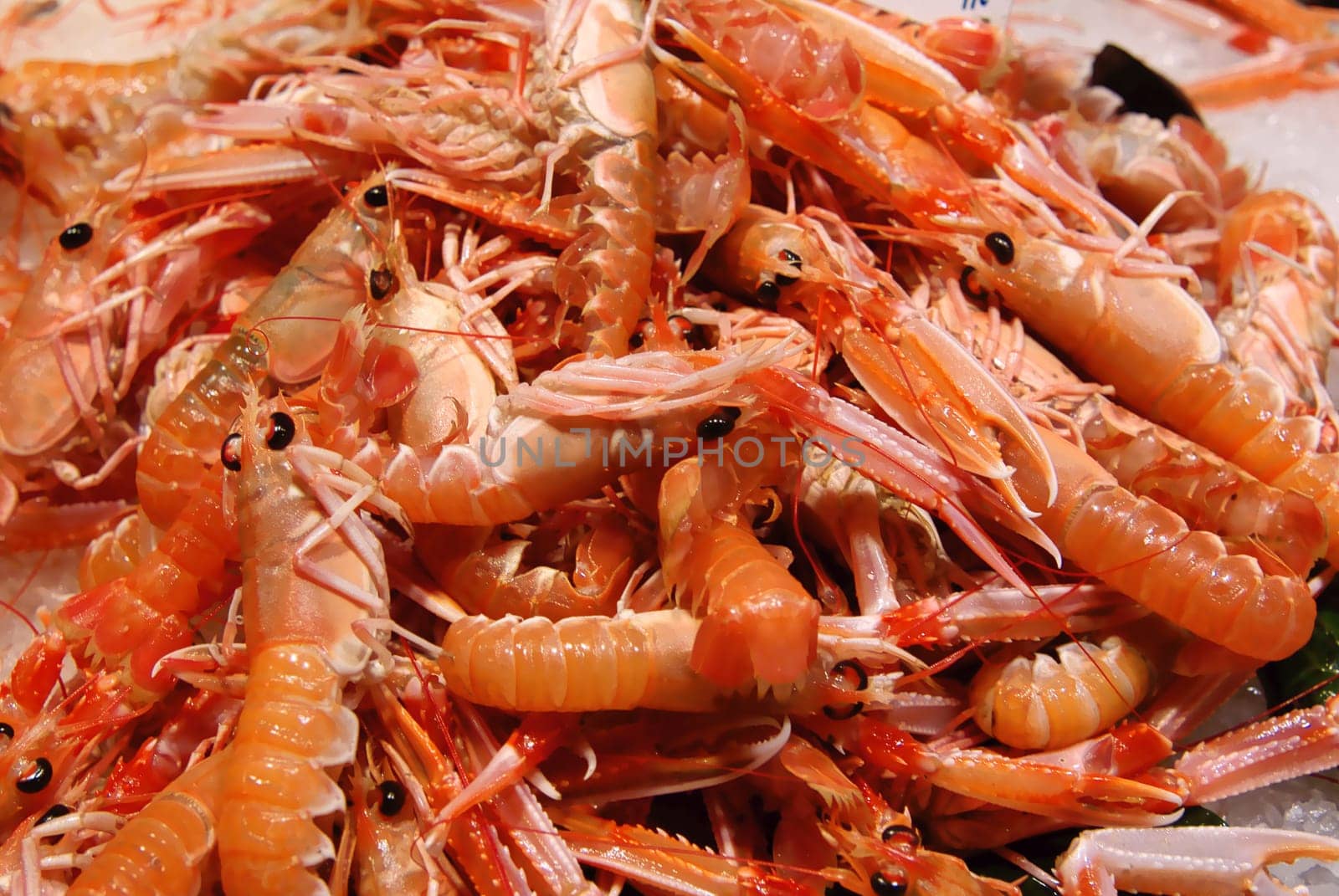 Fresh prawns