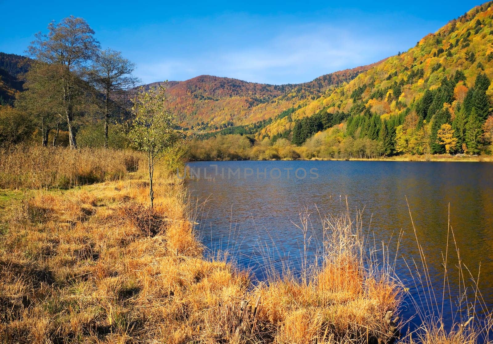 Lac de Seewen