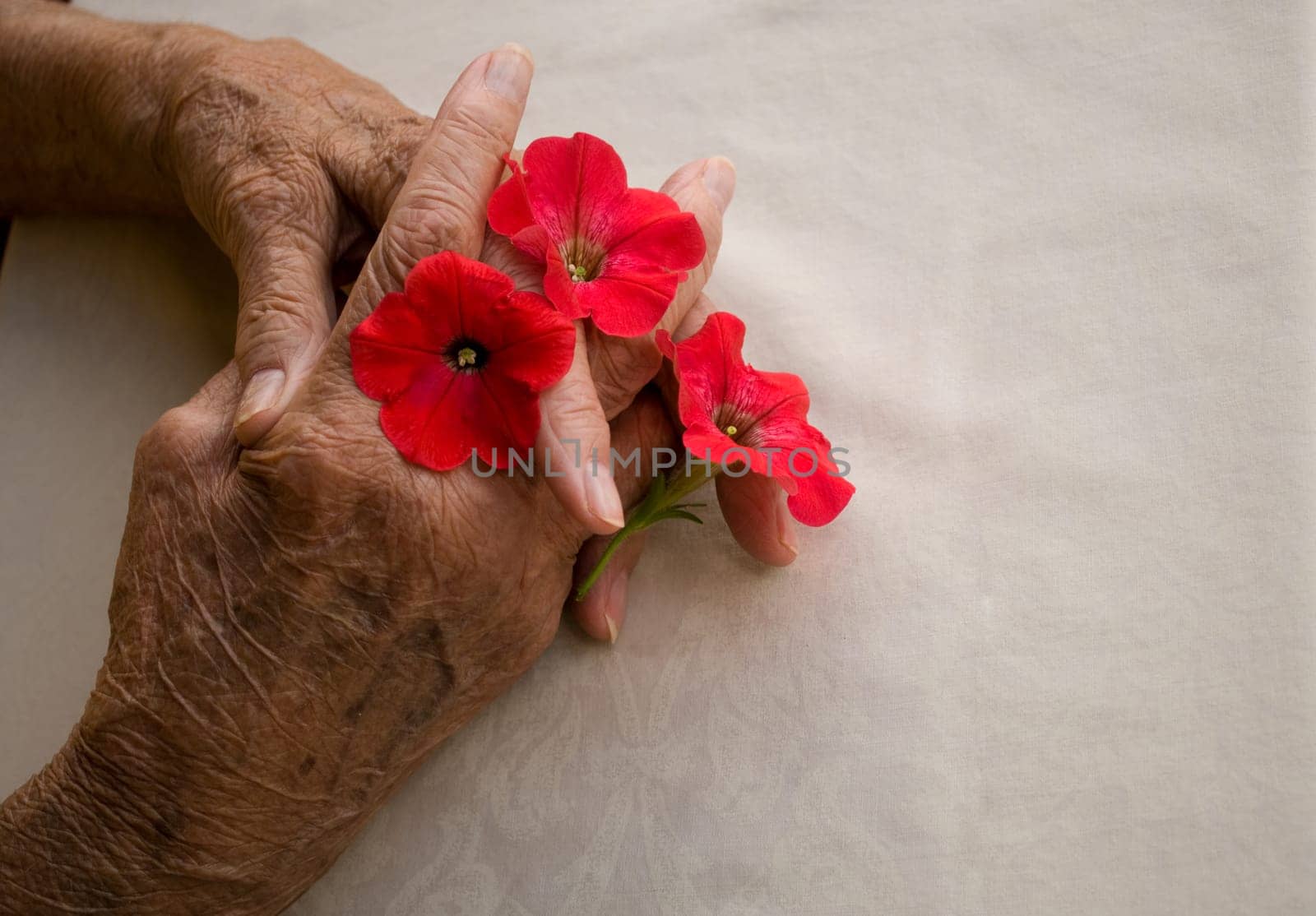 folded hands with flowers