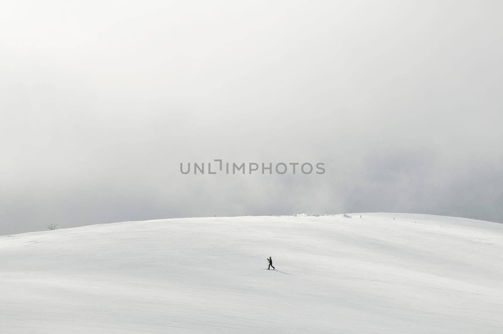 Cross-country skiing2