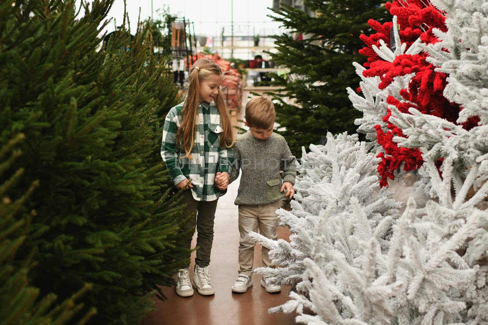 A family looking for a Christmas tree at the market