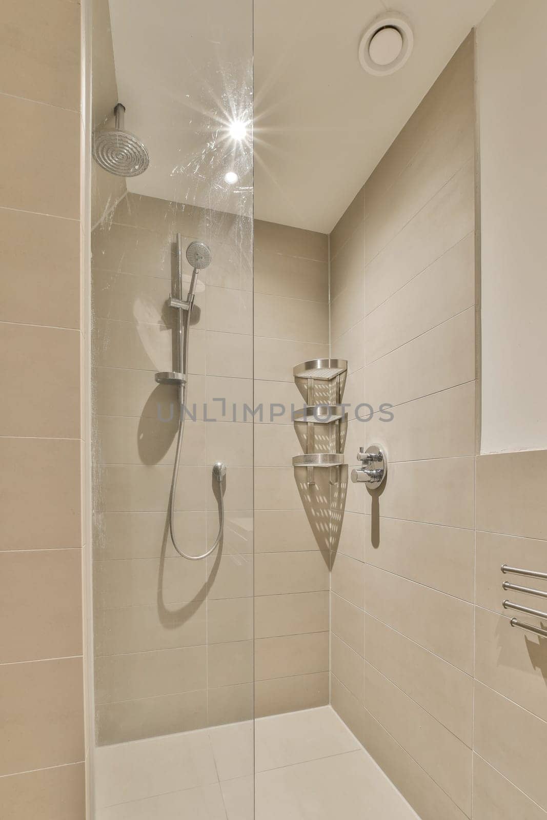 a bathroom with shower head and handrails on the wall, in front of glass doored shower stall