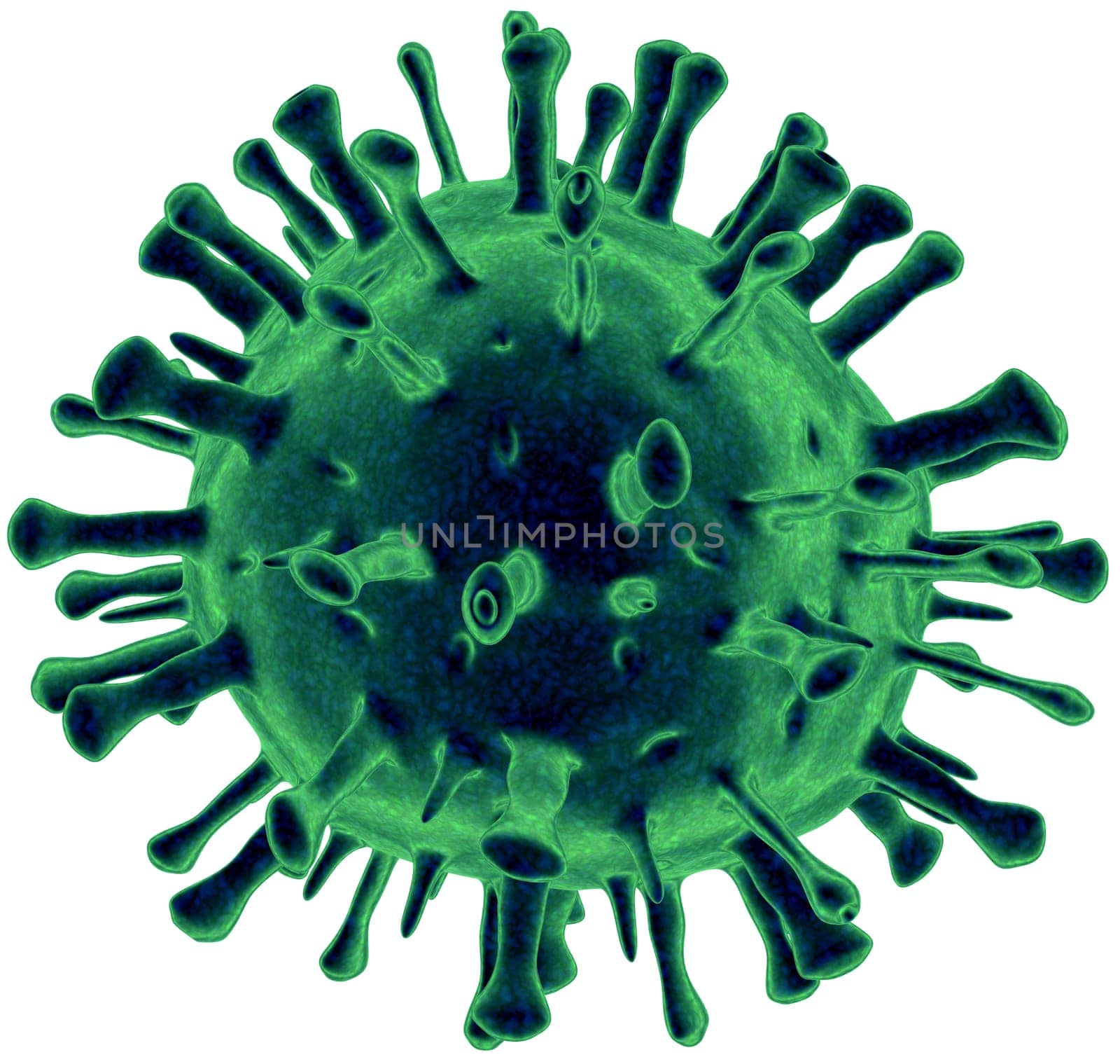 Virus