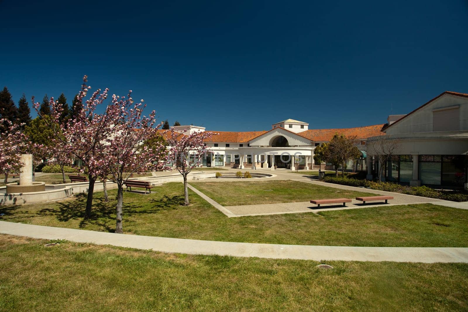 Cupertino Memorial Park