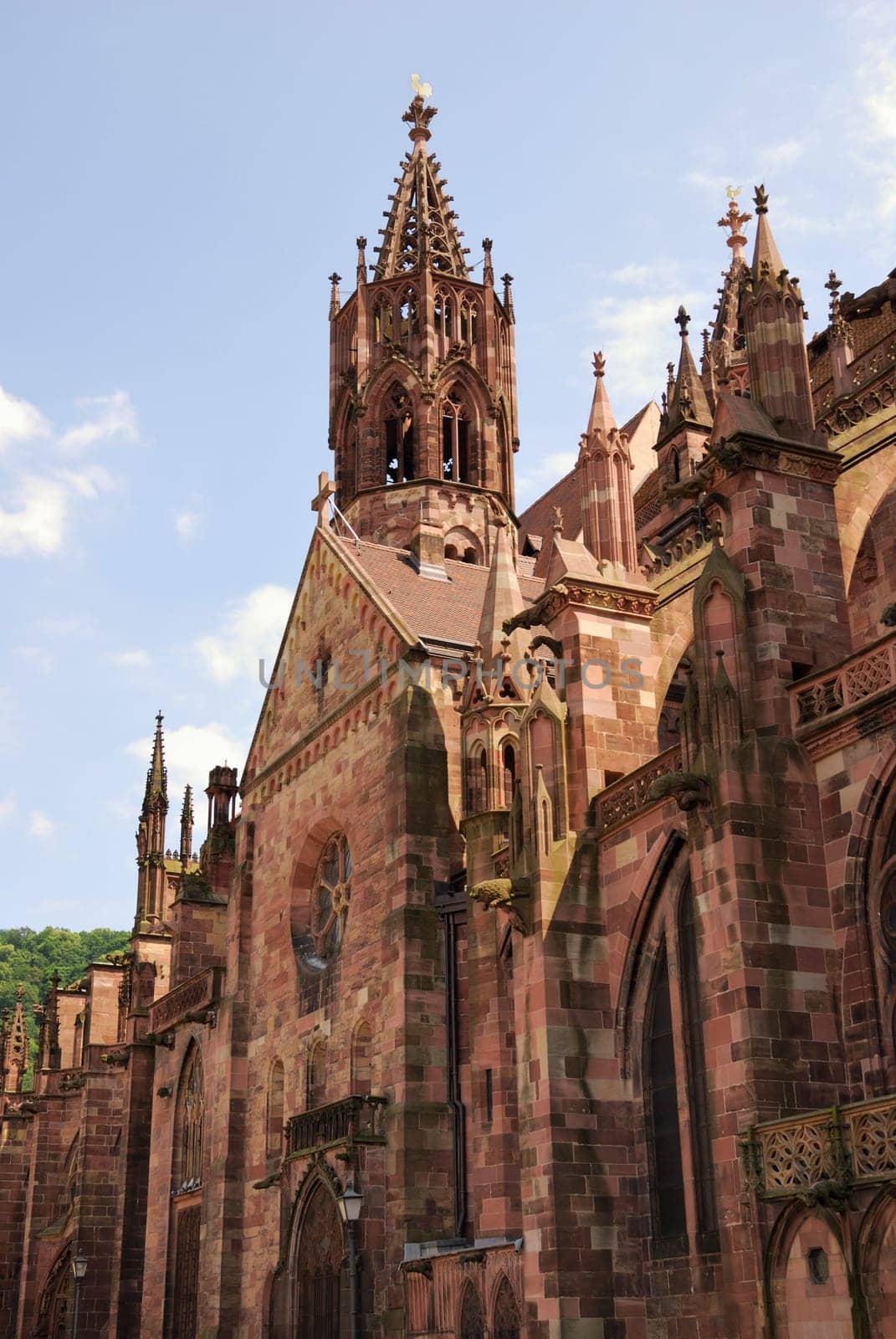 Minster of Freiburg