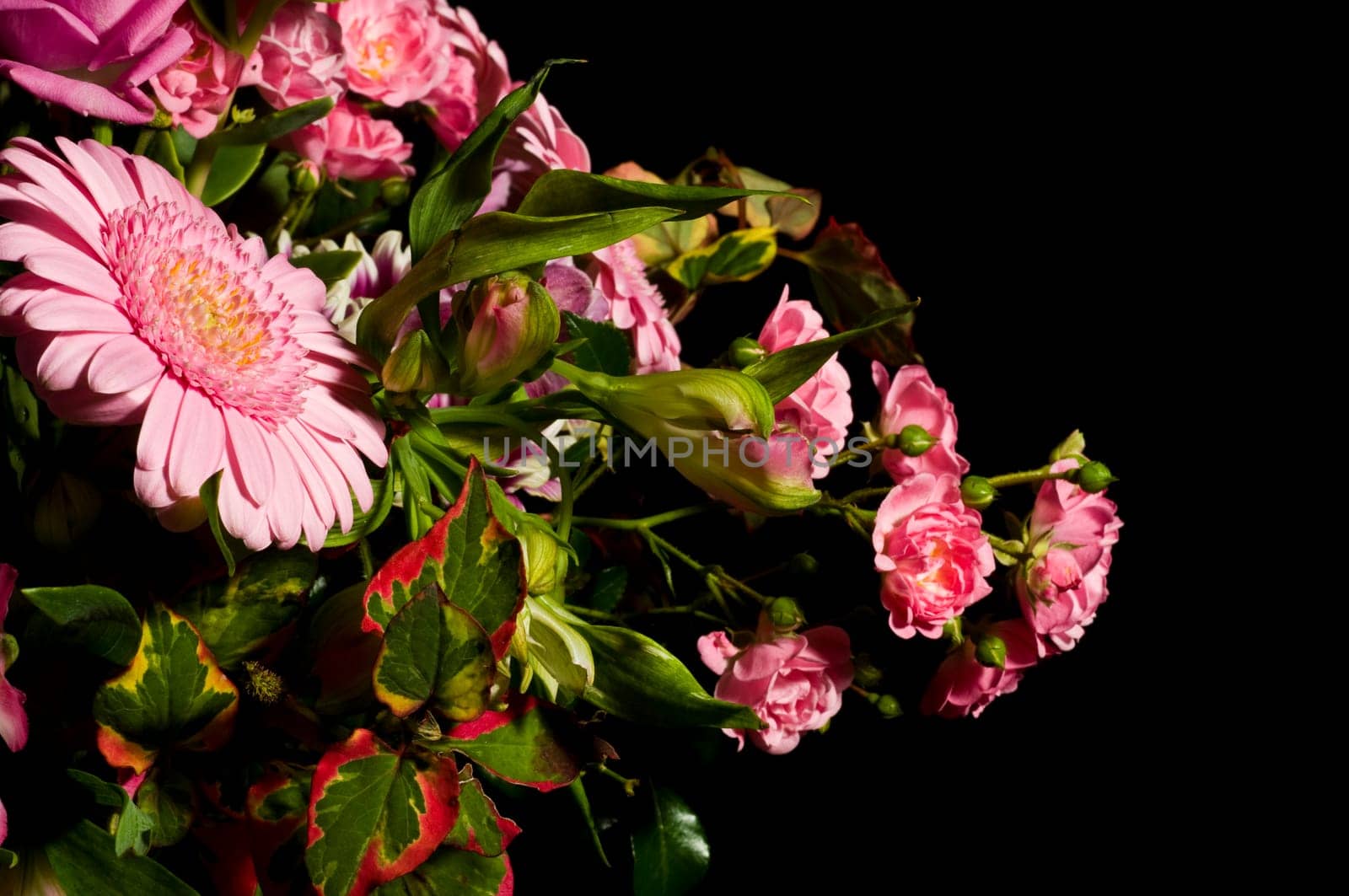 pink bouquet of flowers against black background