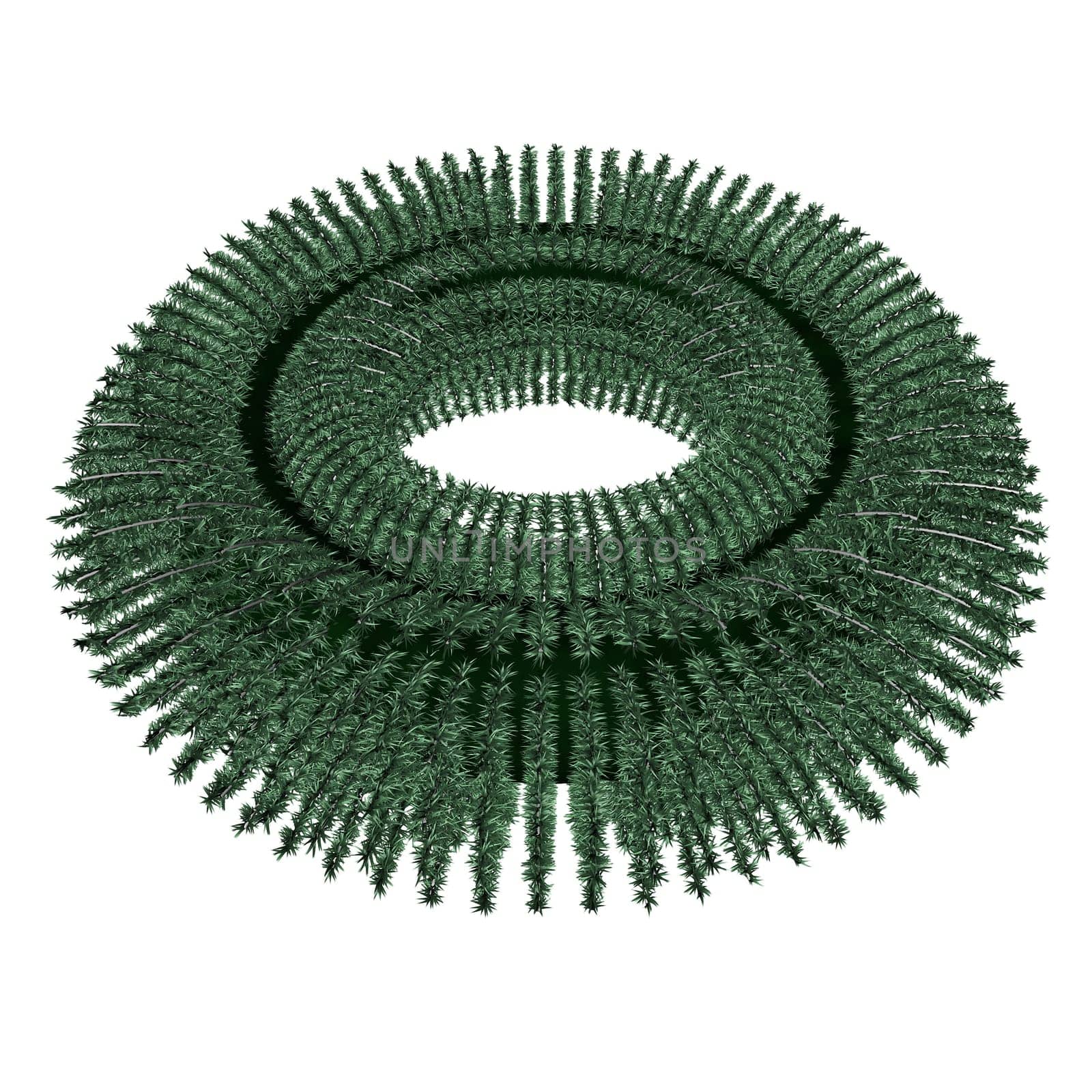 Design Element - Christmas Wreath
