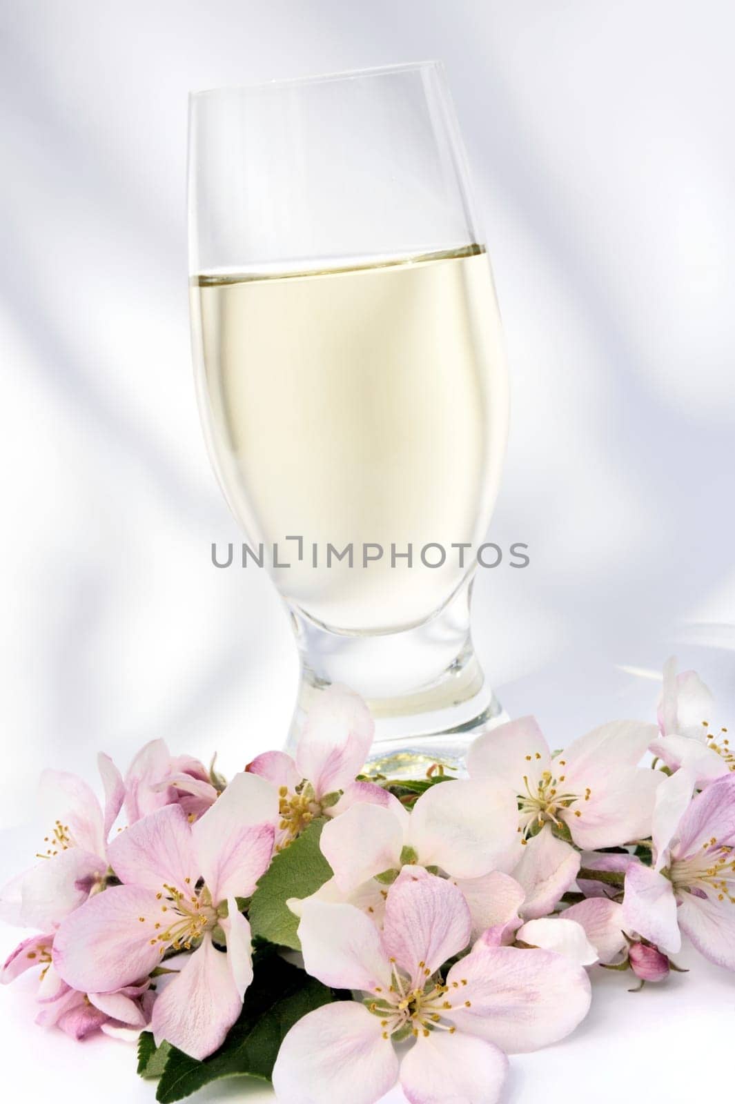 Cider and apple blossoms