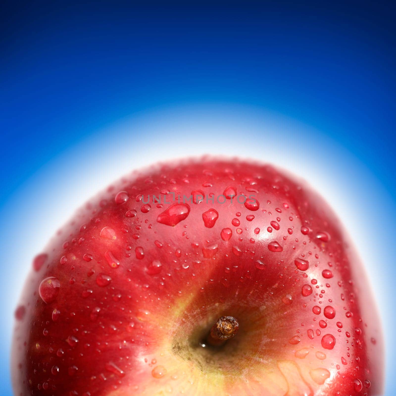 fresh apple