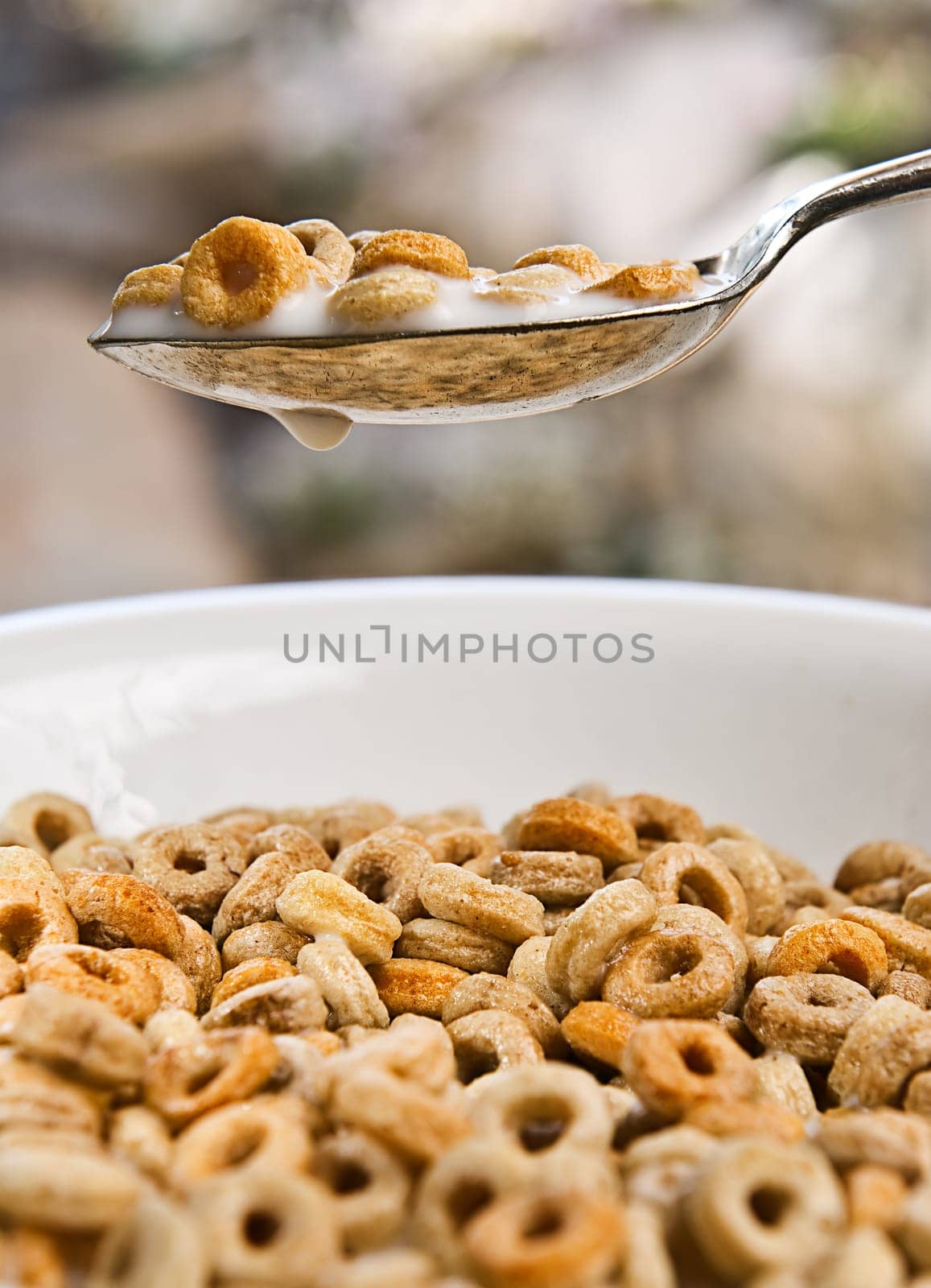 Bowl of Cereal