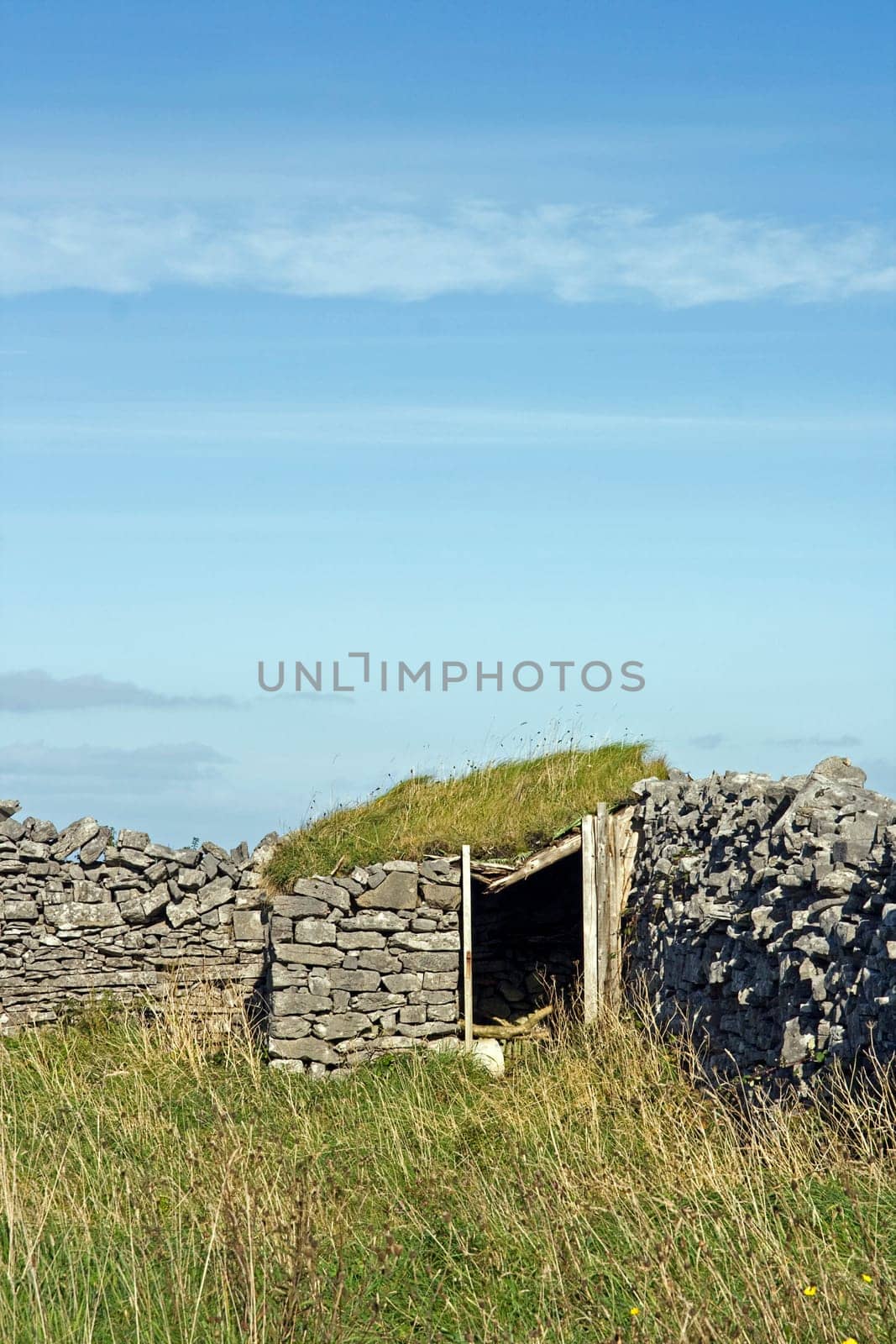 Irish Wall Wall