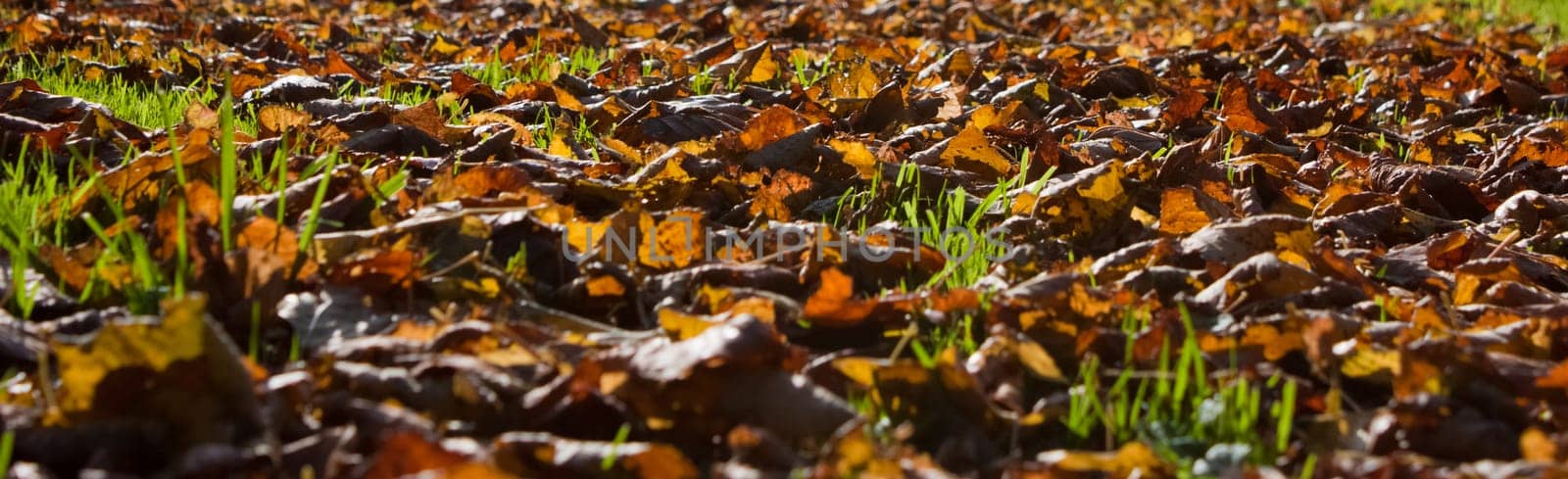 Golden October
