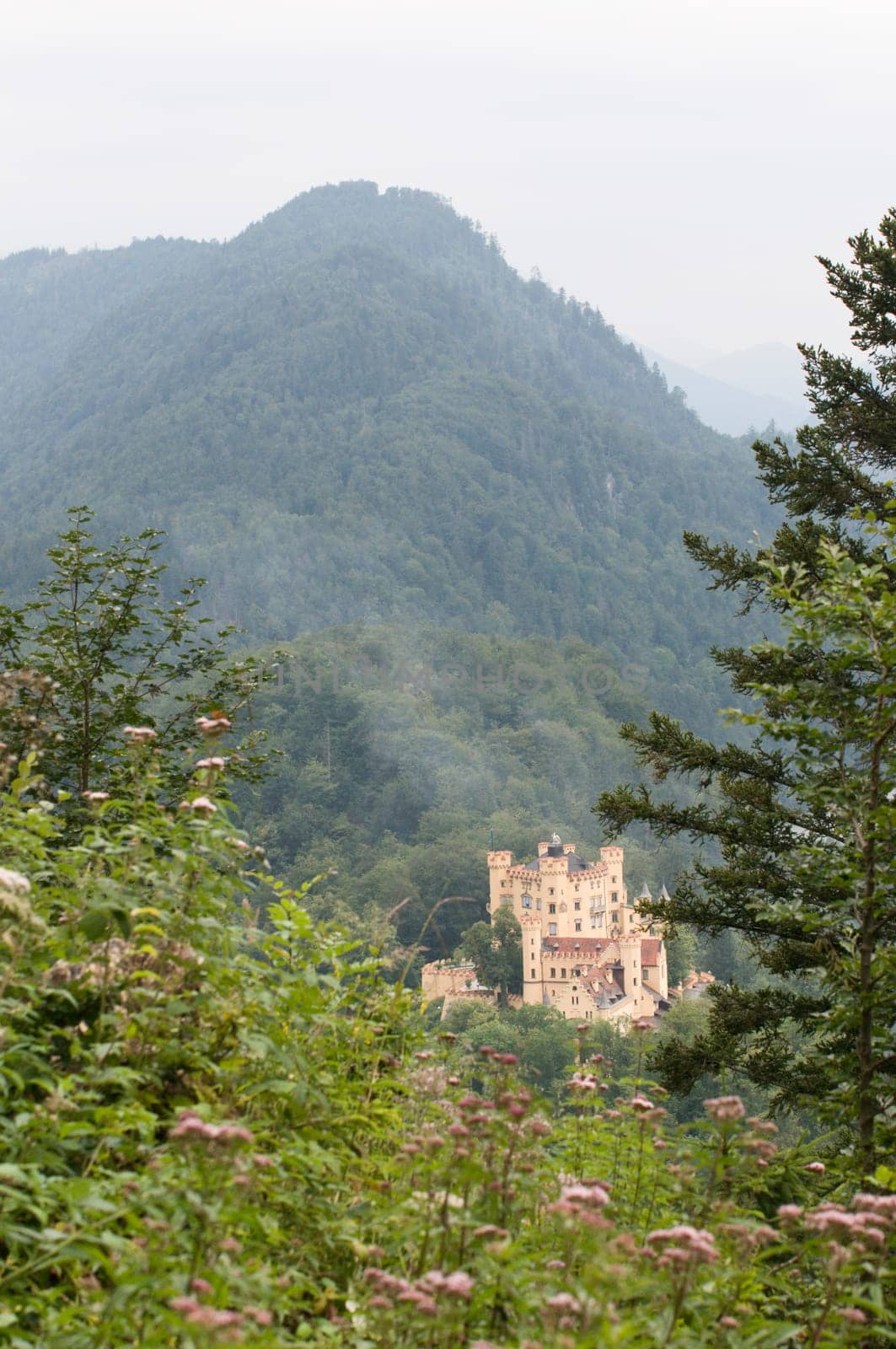 Hohenschwangau between hills