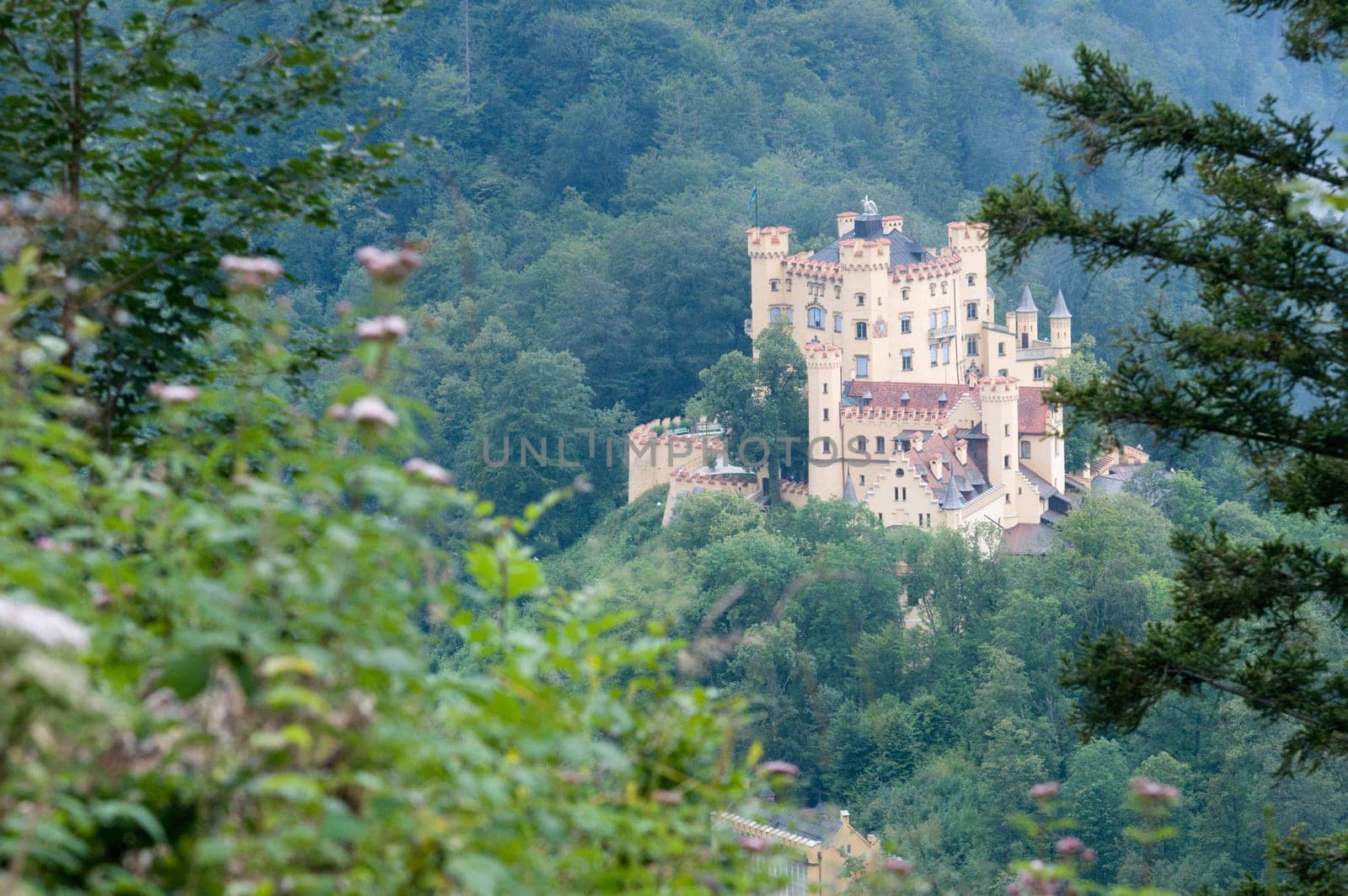 Hohenschwangau horizontal