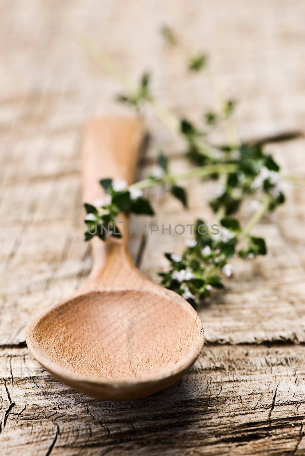 Wooden Spoon