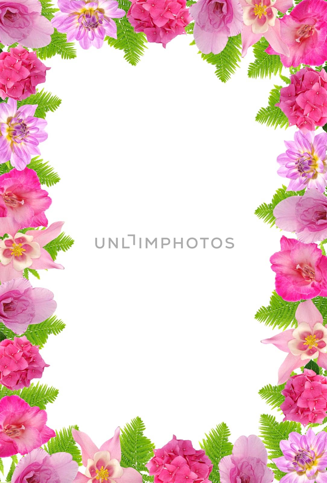 pink floral frame