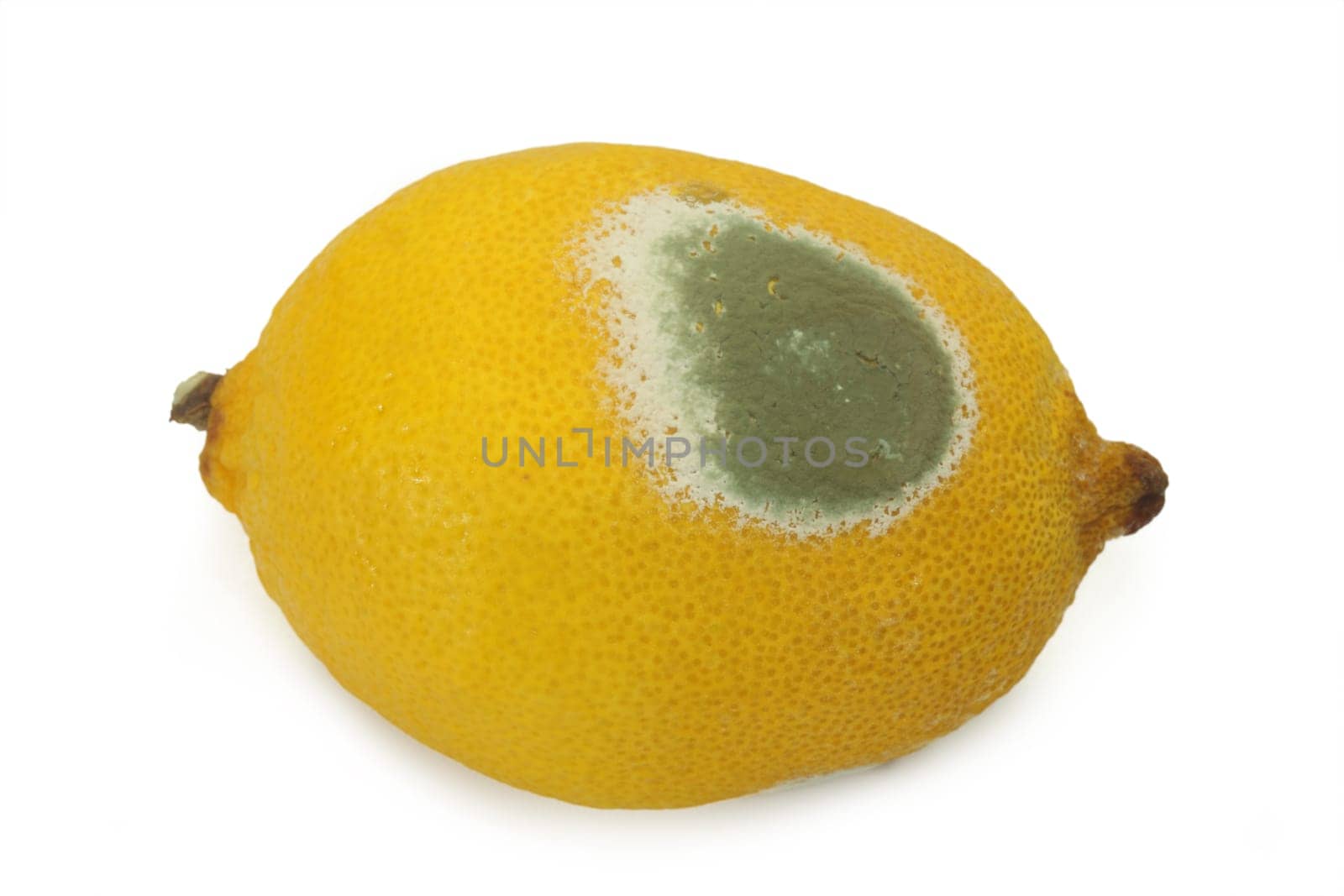 Moldy Lemon