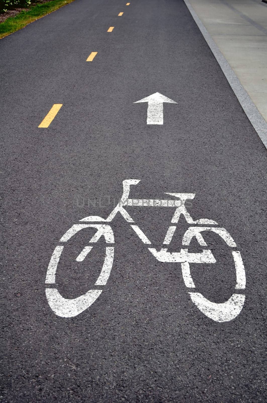 Reserved bicycle lane painted on asphalt