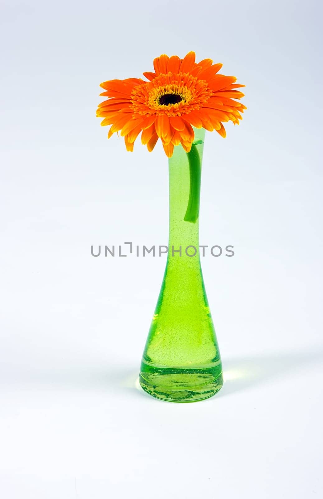 Decorative flower isolated on white