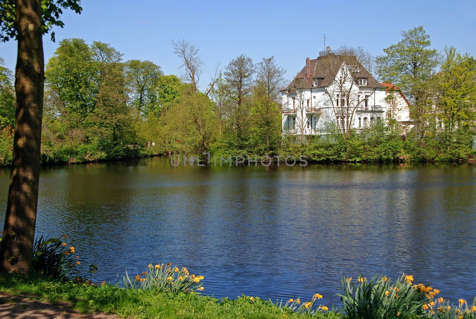 House by the lake