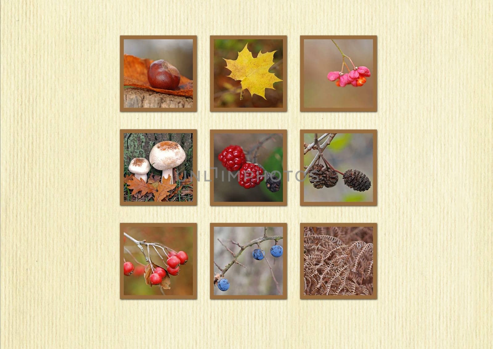 Autumn Postcard