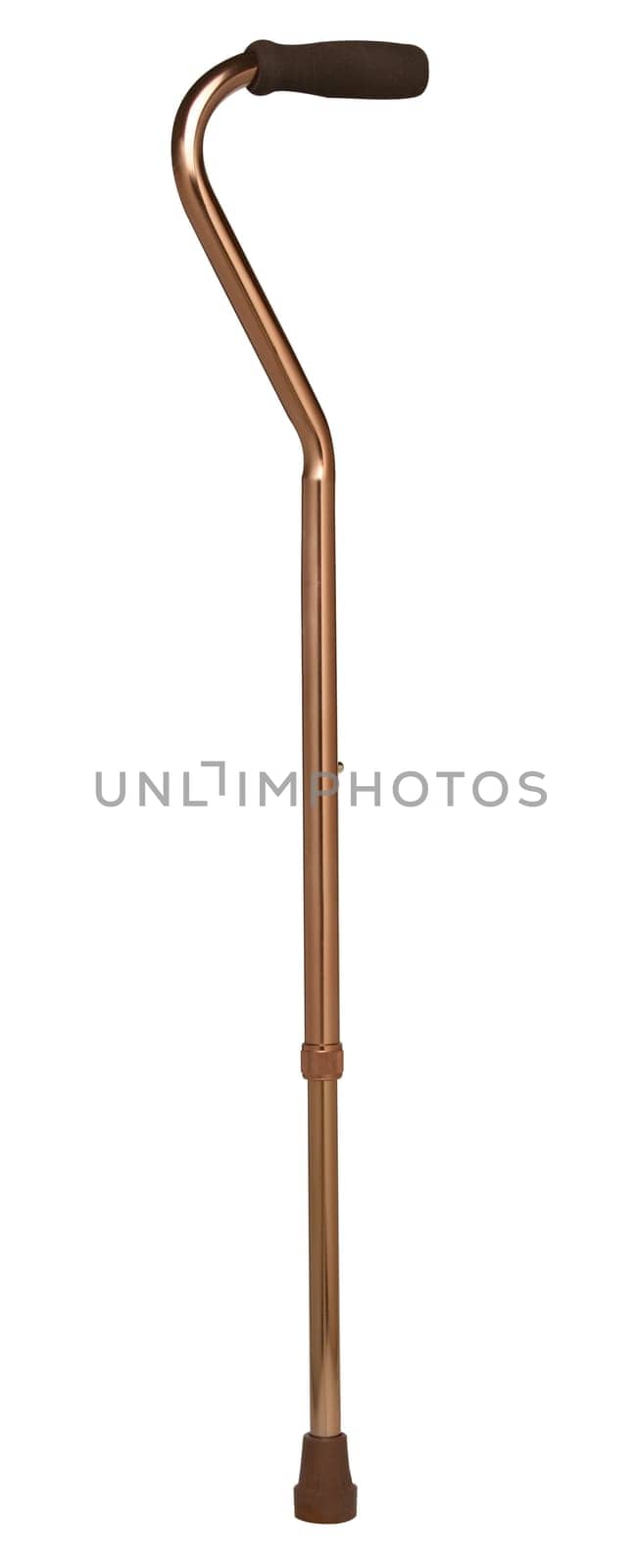 Cane