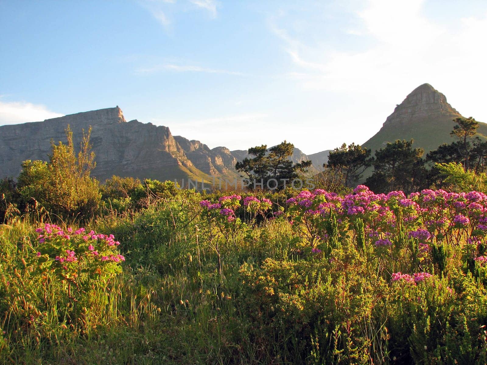 Cape Town - Table Mountain