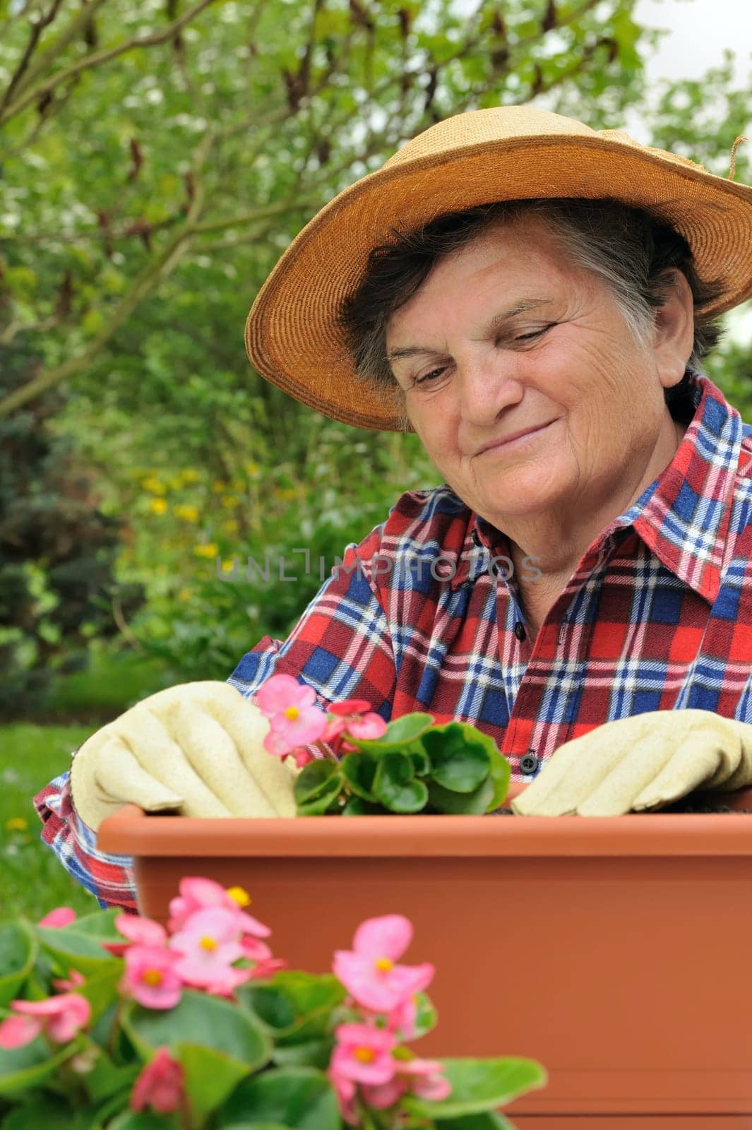 Senior woman - gardening