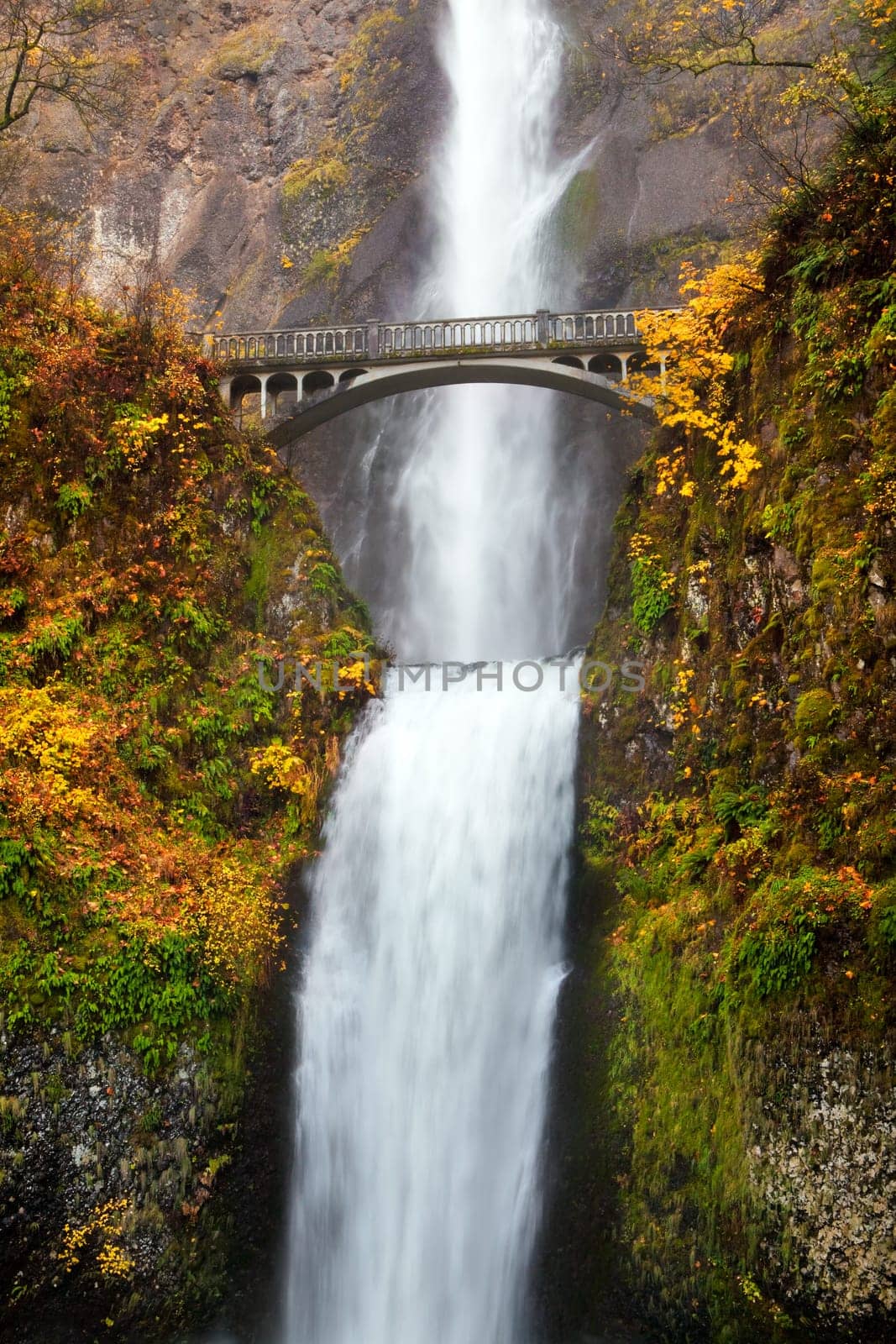 waterfall - multnomah falls in Oregon