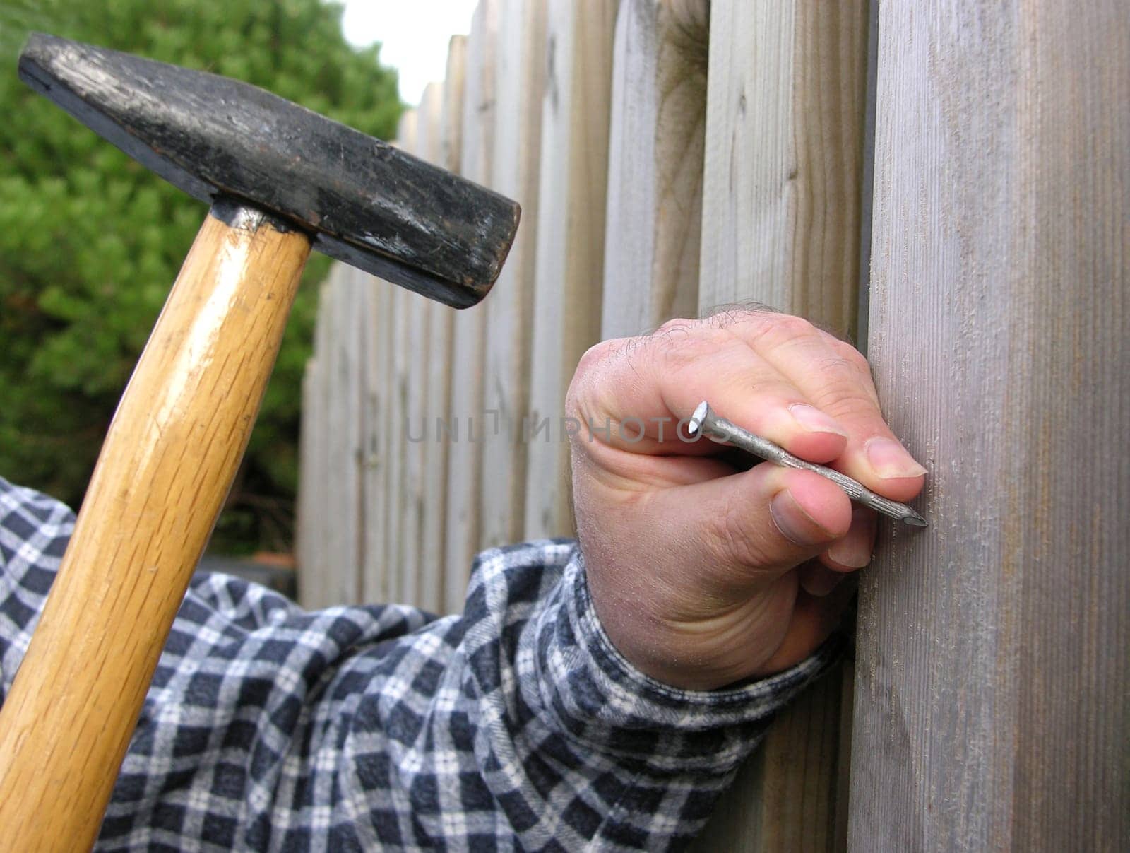 Man hits a nail with a hammer in wood