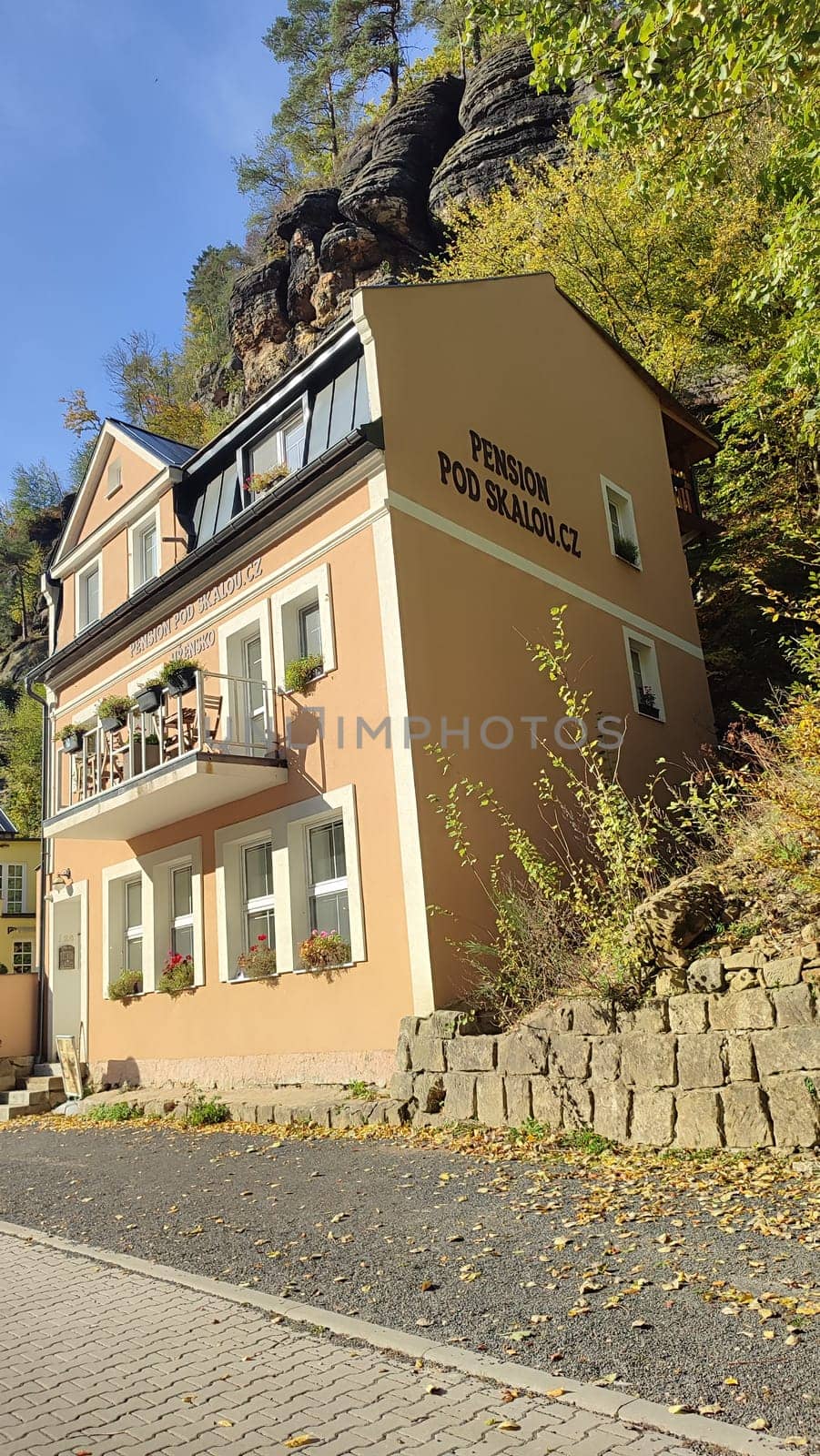 Cozy mountain guesthouse. High quality photo