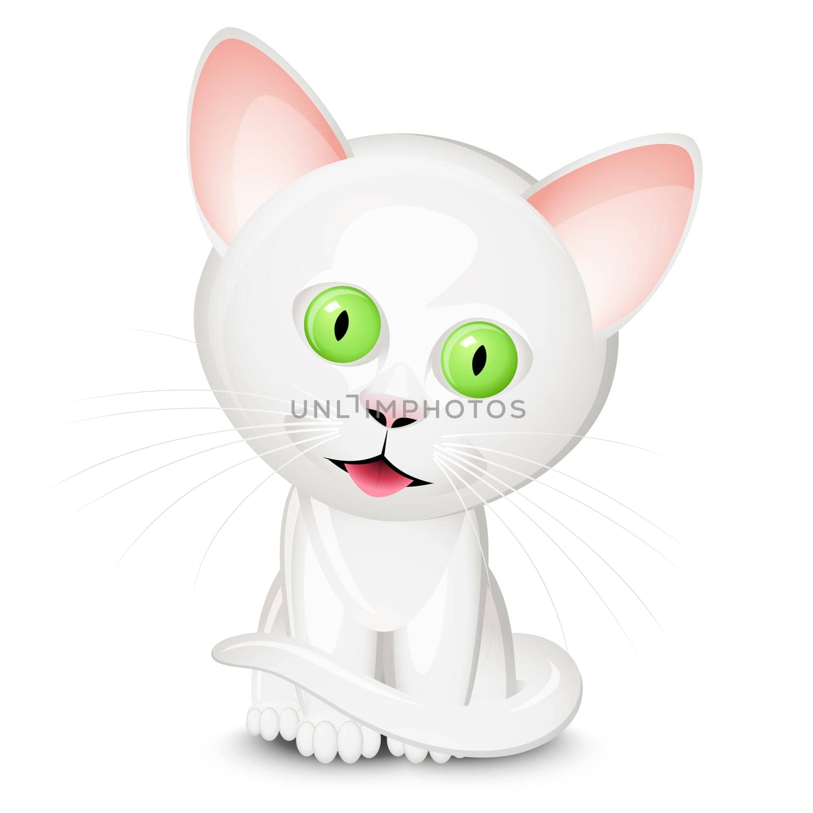 Little white cat