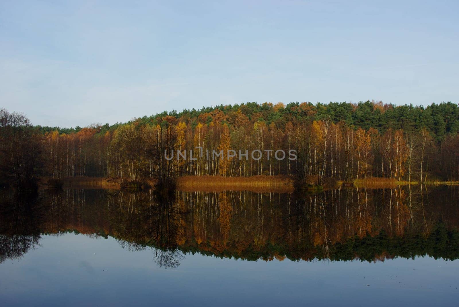 COLOR OF THE LANDSCAPE