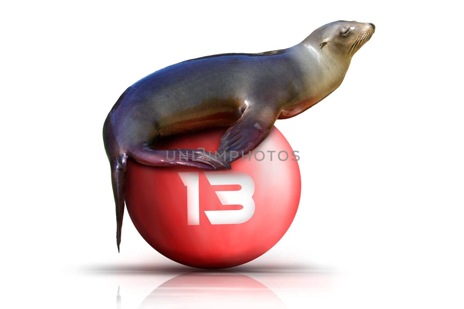 Seal wd332