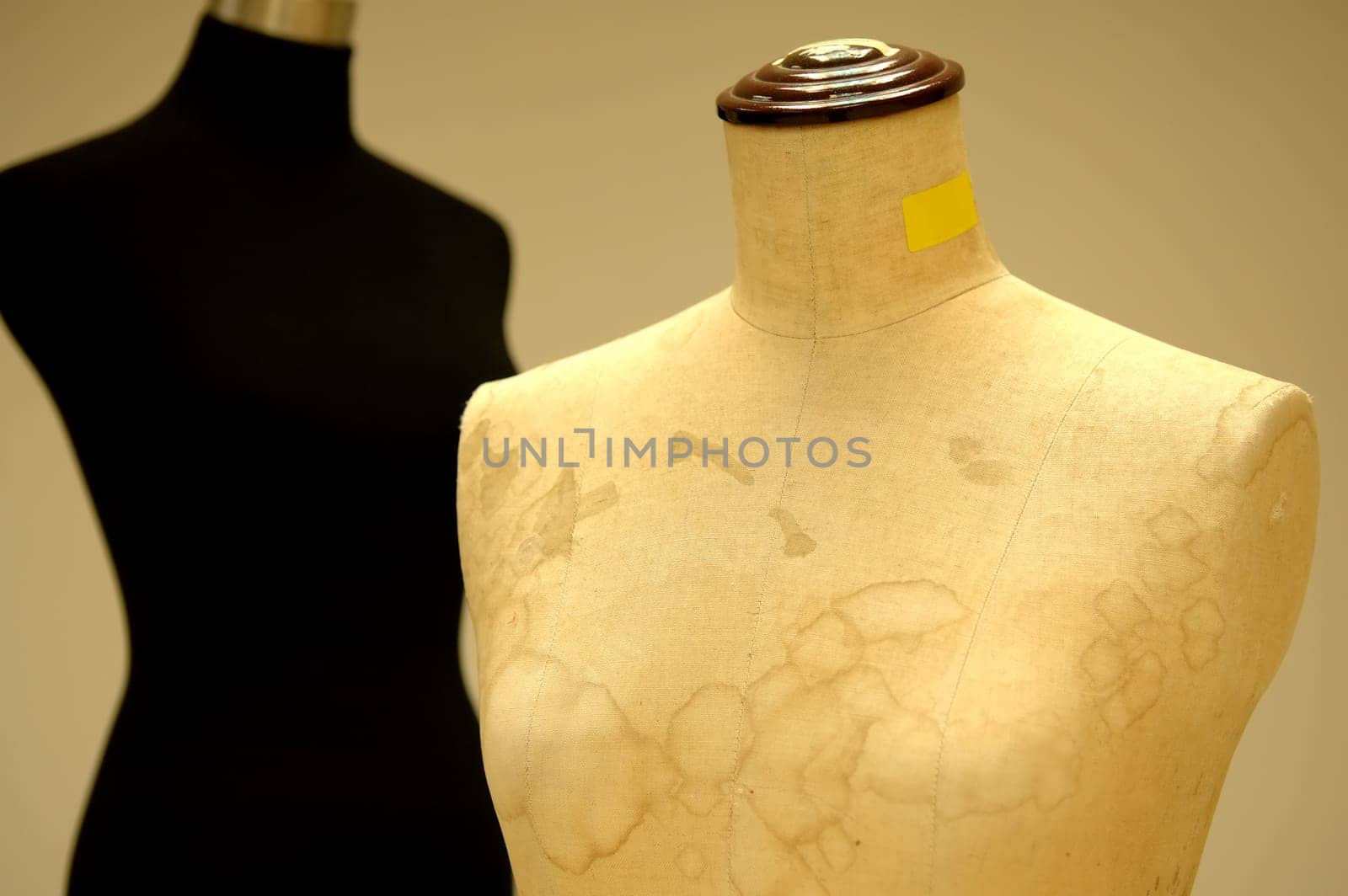 Tailor dummy