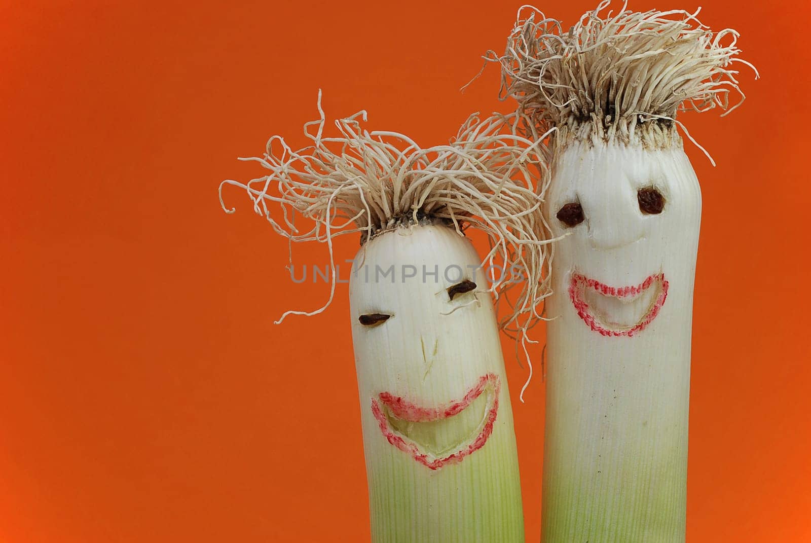 Leek heads