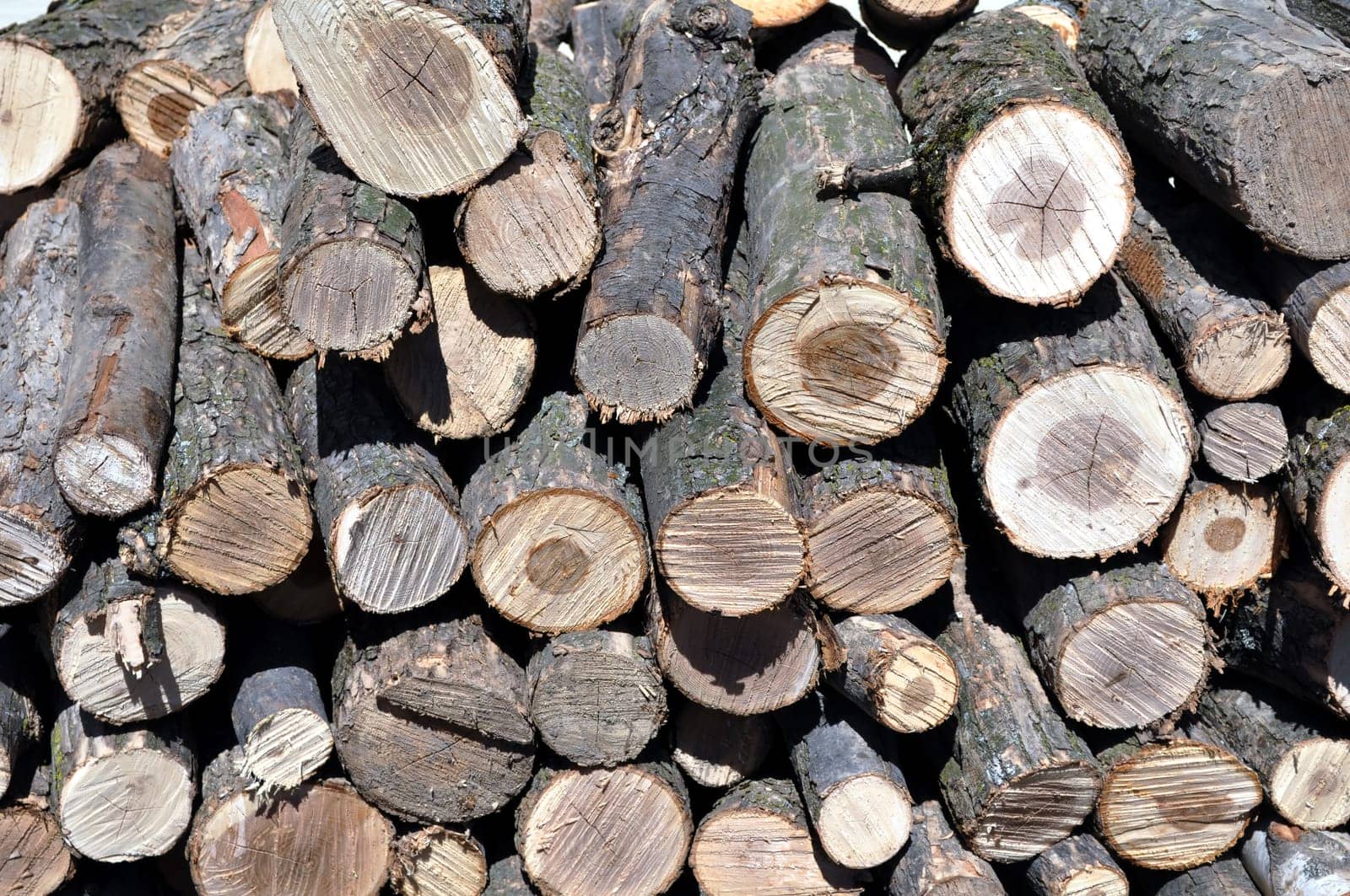 Stack of firewood