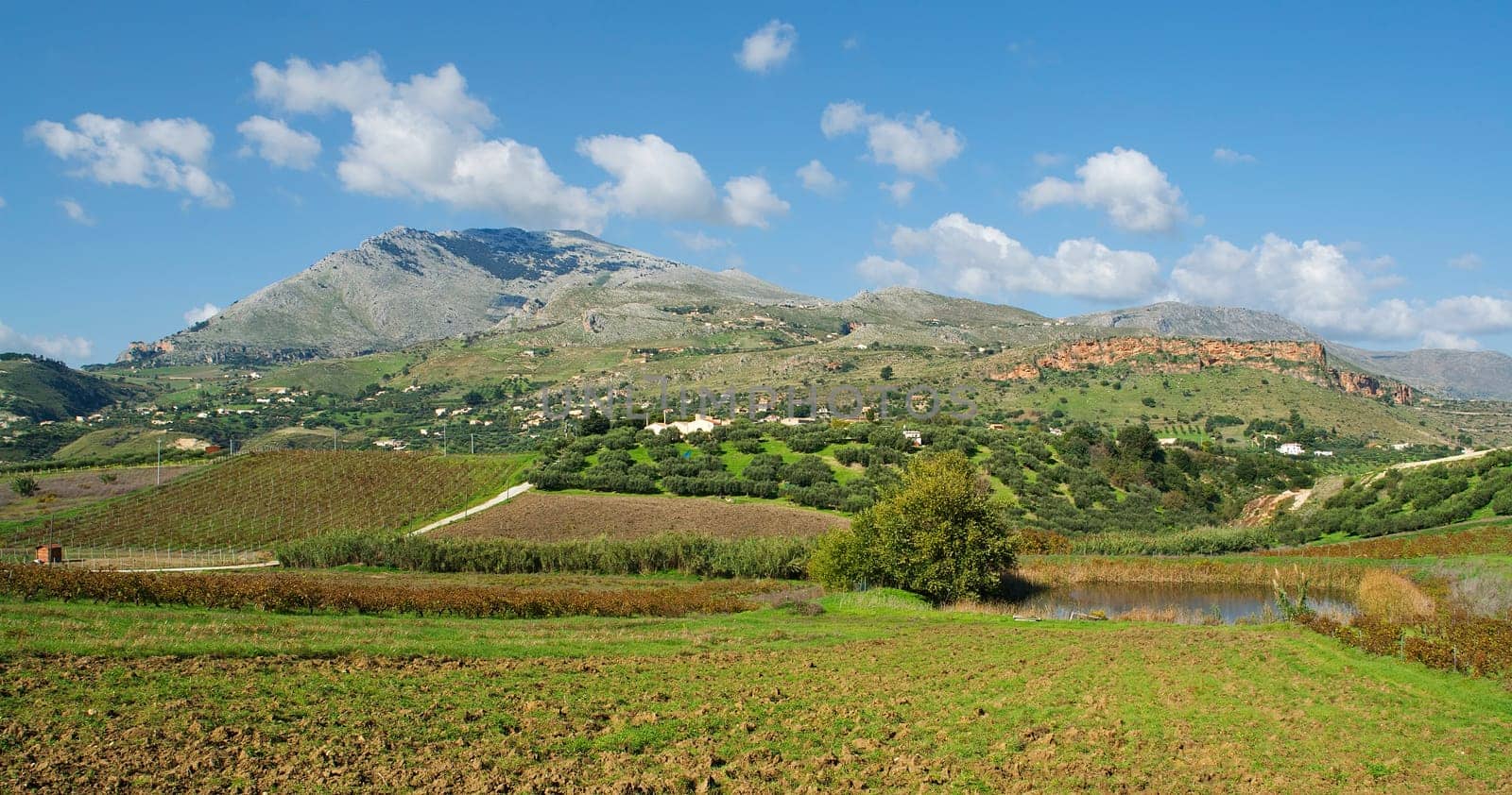 Typical Sicily