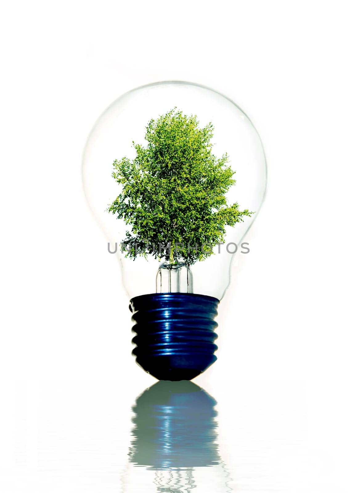 Green plant in light bulb