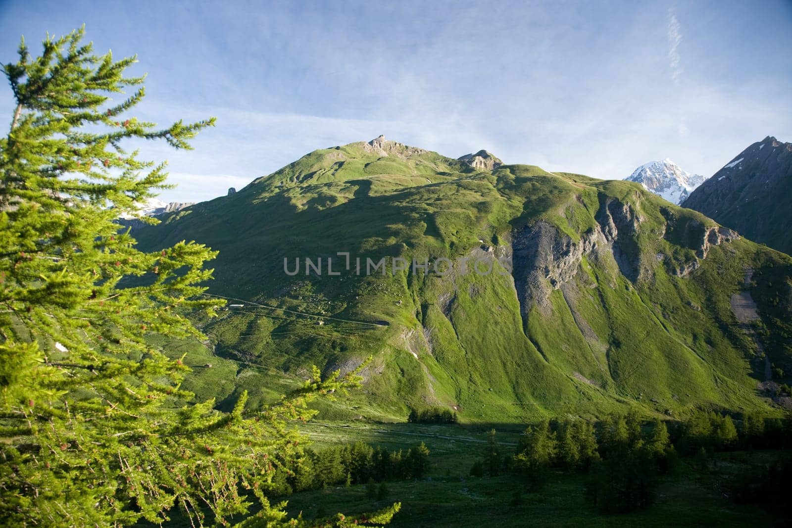 (mountains or mountain) high