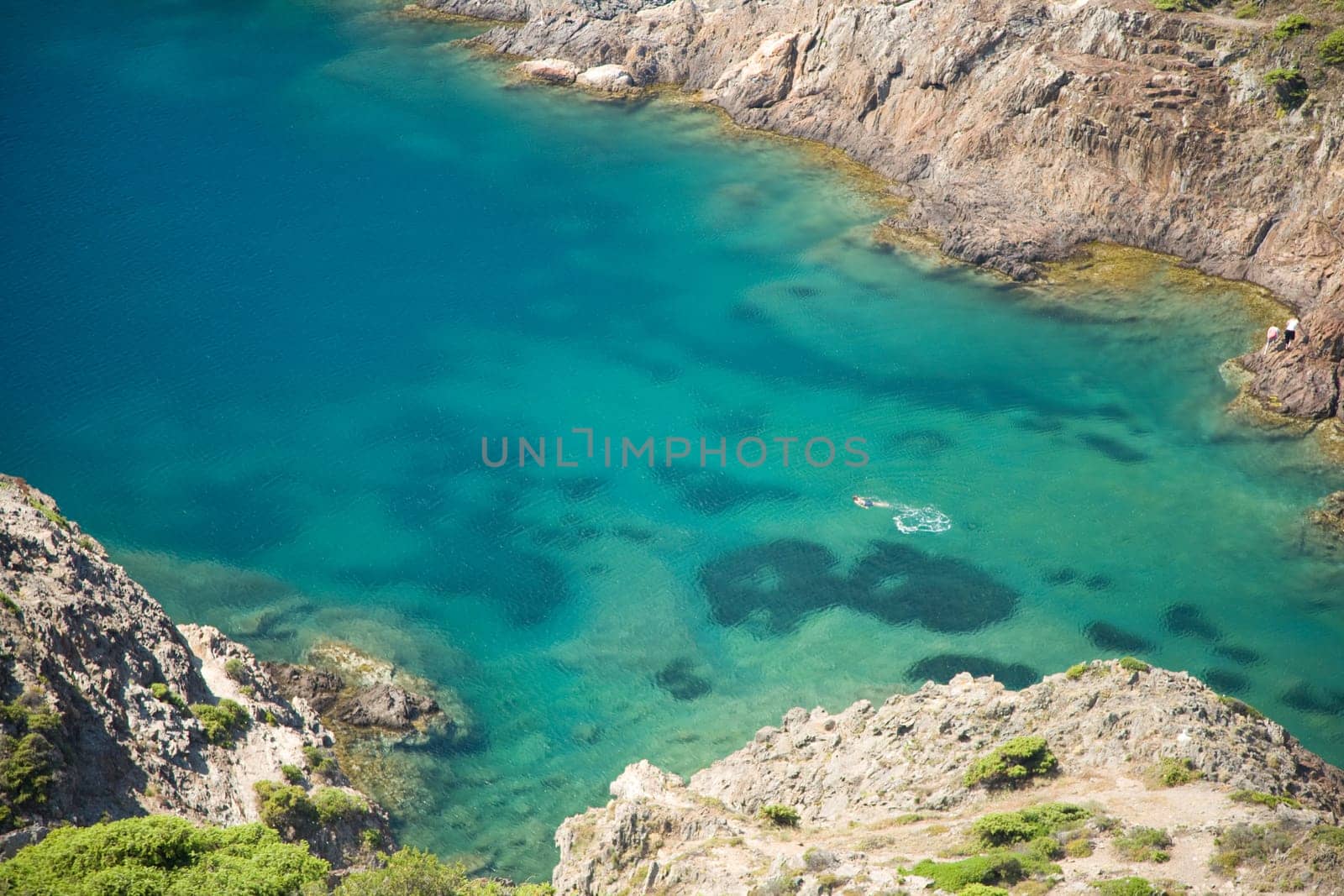 Swimmer