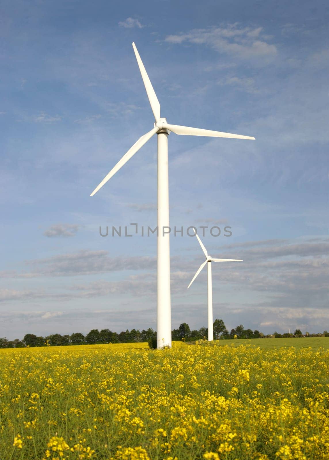 Wind turbine over glowing rapeseed field