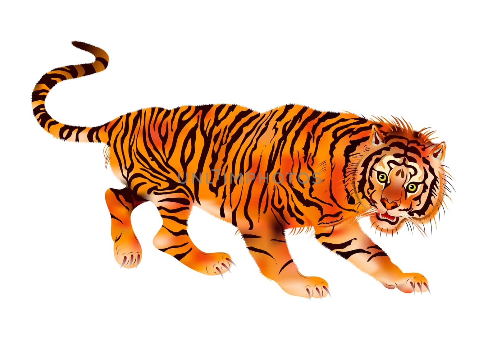 walking tiger