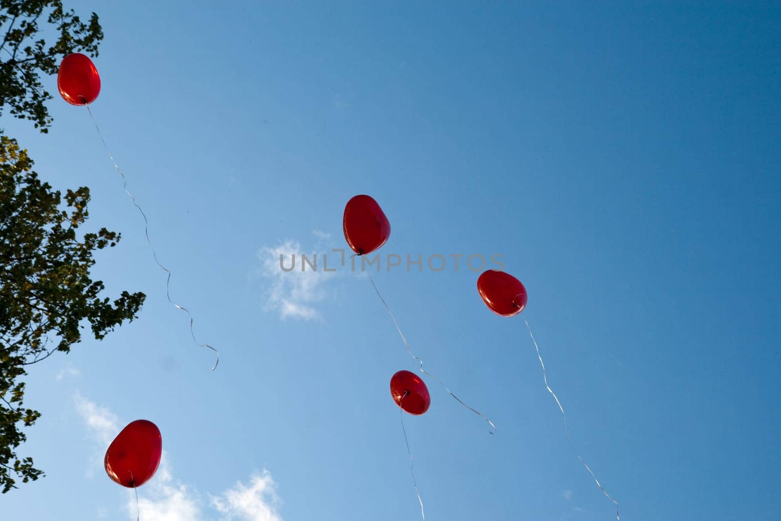 Heart Balloons