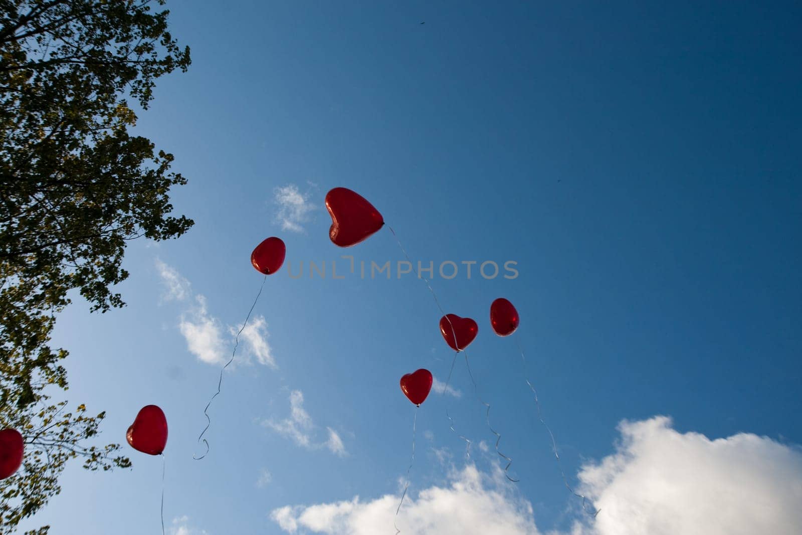 Heart Balloons