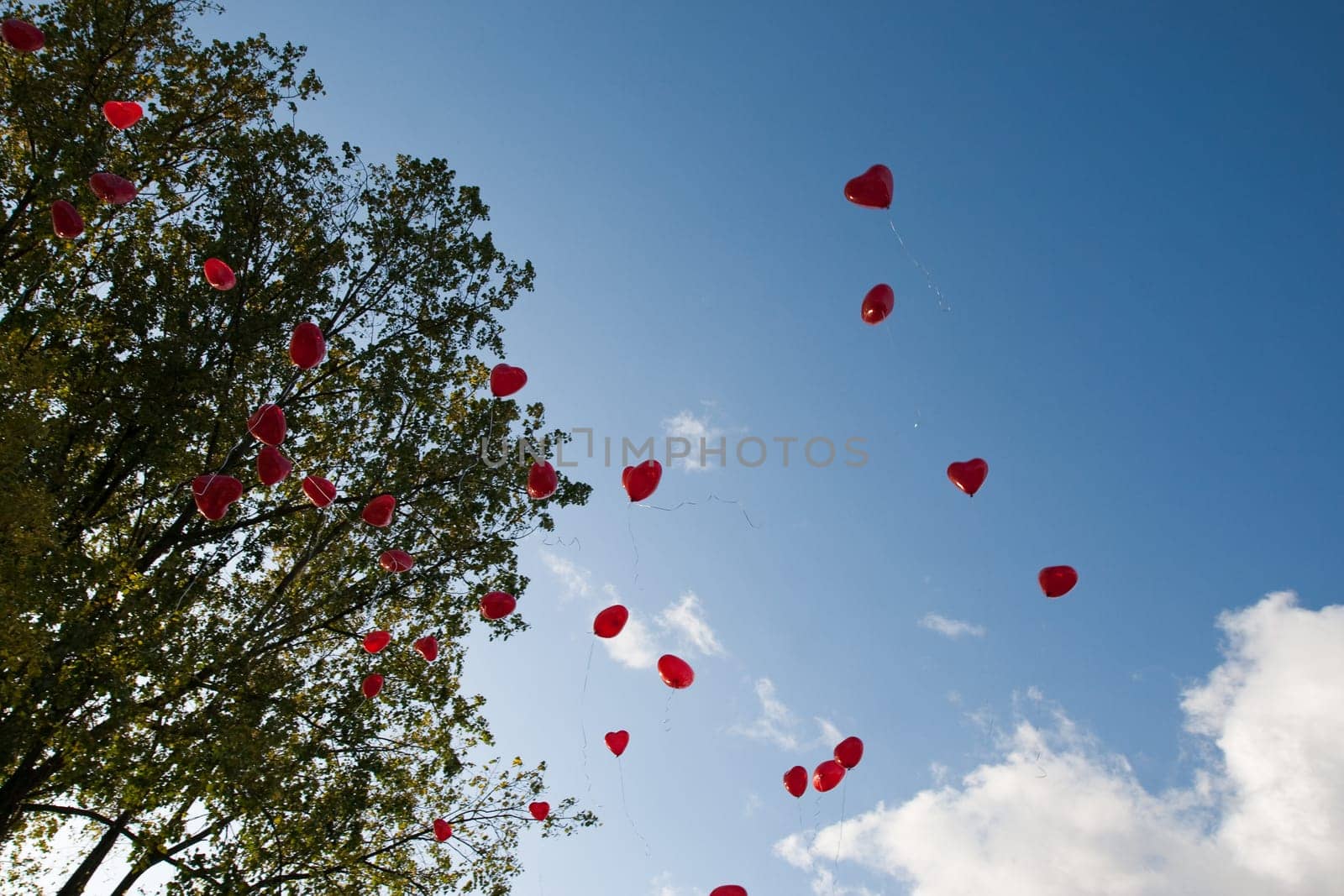 Heart Balloons