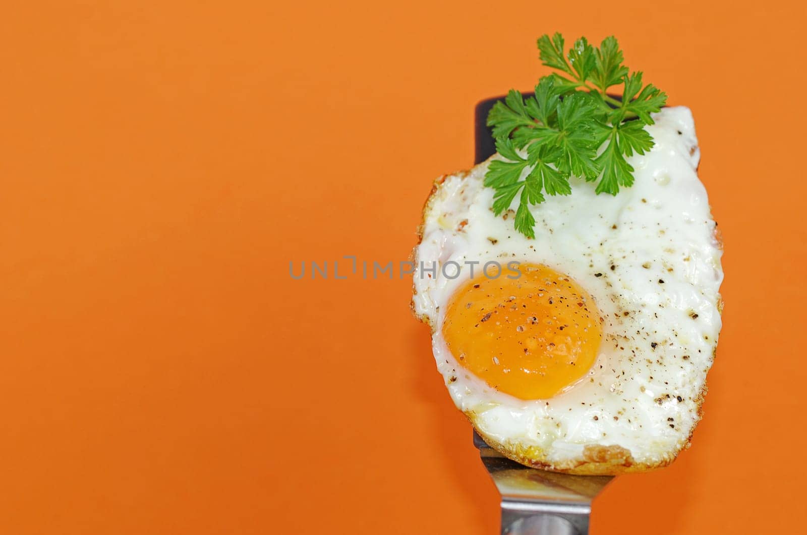 Fried egg