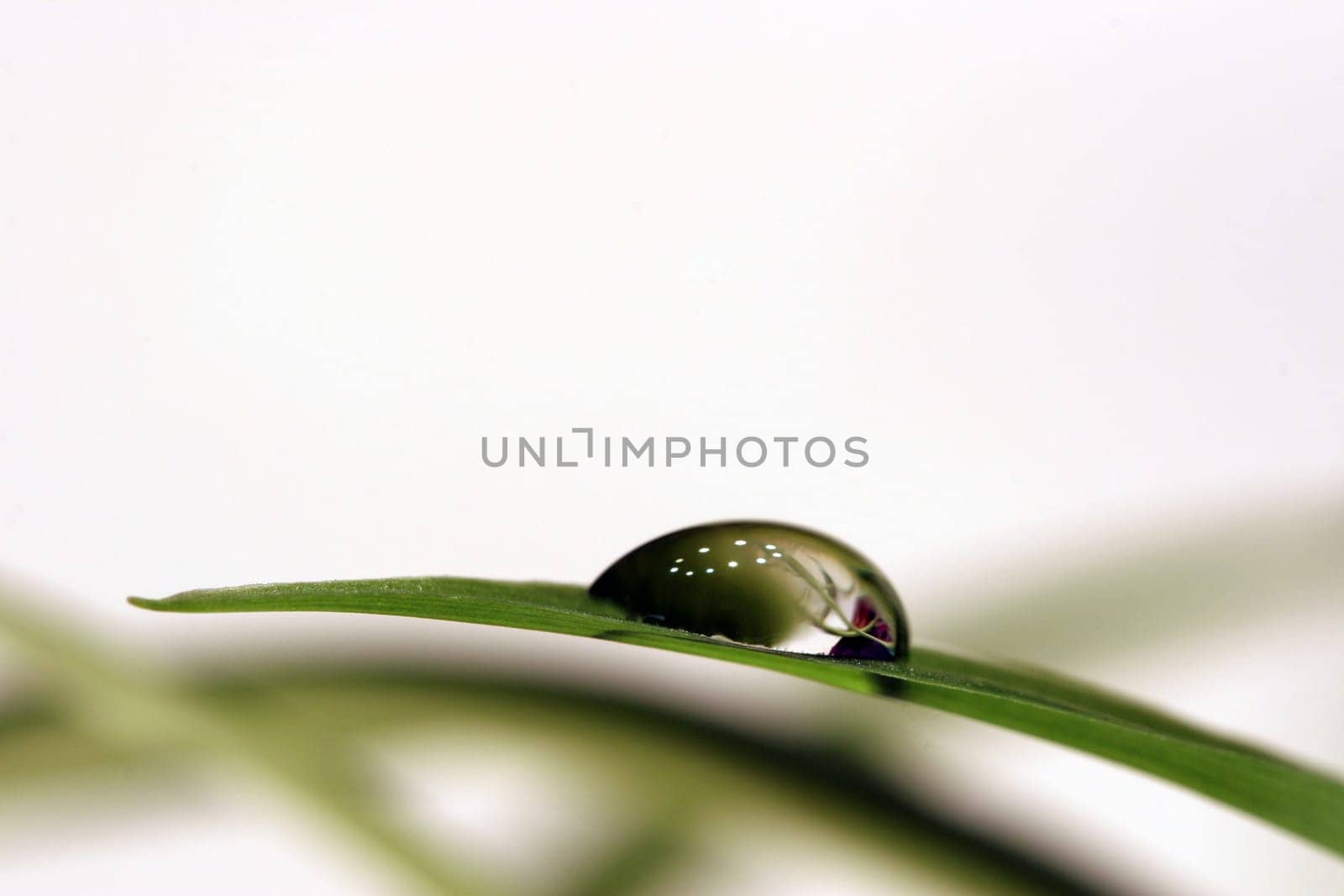 Drop