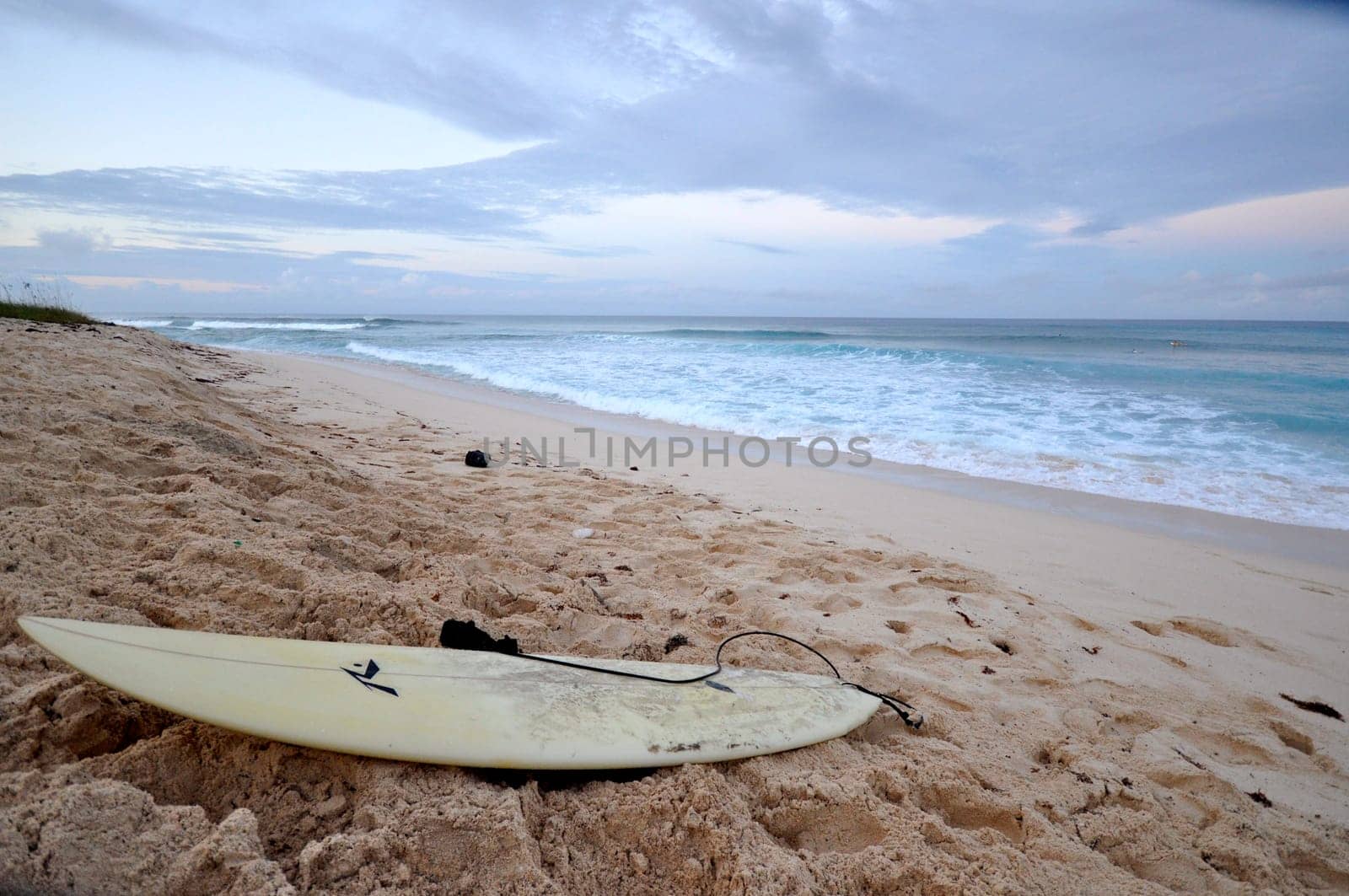 surfers beach